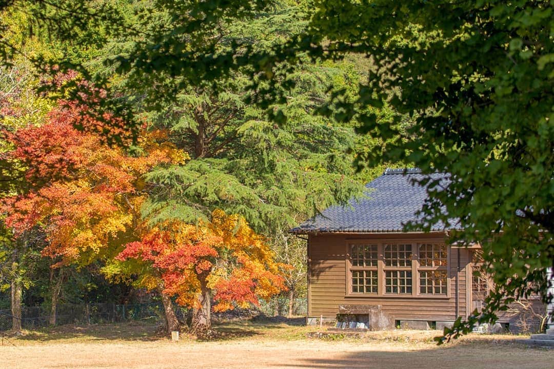 鹿児島よかもん再発見さんのインスタグラム写真 - (鹿児島よかもん再発見Instagram)「伊佐市大口 布計小学校跡の紅葉(^-^)/R1.11.17撮影  1ヶ月前に訪ねた時、青々としたもみじの葉を見て、ここは綺麗な色づきになるだろうな。。と、思ったら案の定(^-^) 木造校舎の存在感も良いですね。  #鹿児島 #鹿児島観光 #伊佐市 #伊佐市観光 #布計 #布計小学校  #どんどん鹿児島 #紅葉 #木造校舎 #kagoshima #kagoshimaphotograph」11月22日 20時24分 - kagoshimayokamon