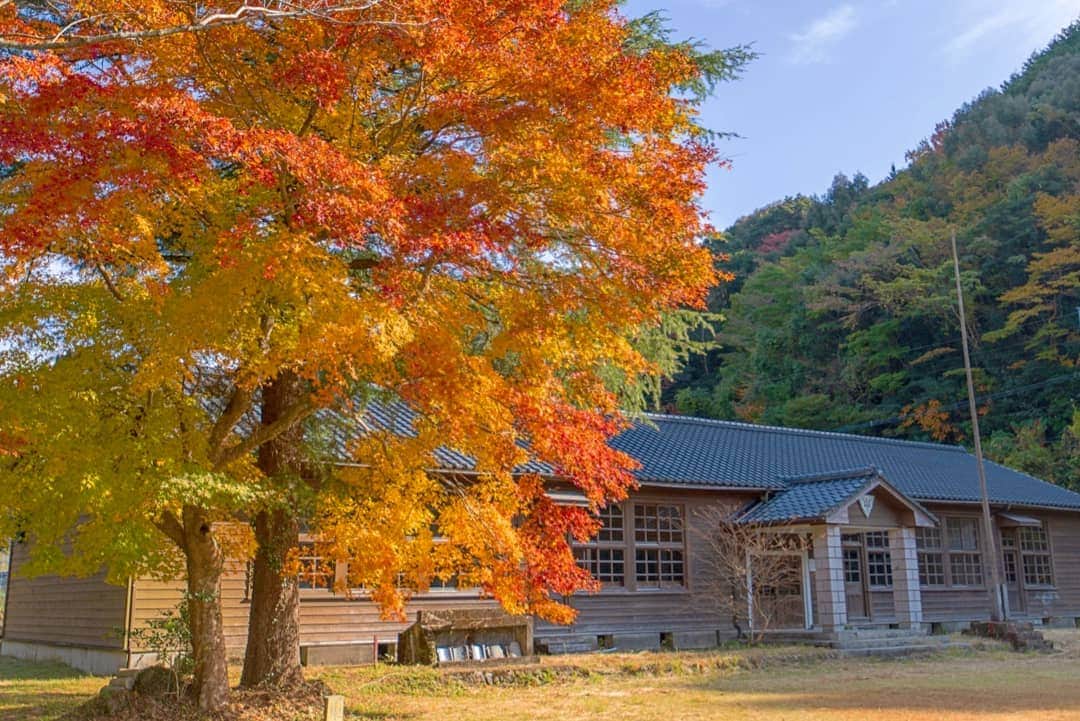 鹿児島よかもん再発見のインスタグラム：「伊佐市大口 布計小学校跡の紅葉(^-^)/R1.11.17撮影  1ヶ月前に訪ねた時、青々としたもみじの葉を見て、ここは綺麗な色づきになるだろうな。。と、思ったら案の定(^-^) 木造校舎の存在感も良いですね。  #鹿児島 #鹿児島観光 #伊佐市 #伊佐市観光 #布計 #布計小学校  #どんどん鹿児島 #紅葉 #木造校舎 #kagoshima #kagoshimaphotograph」