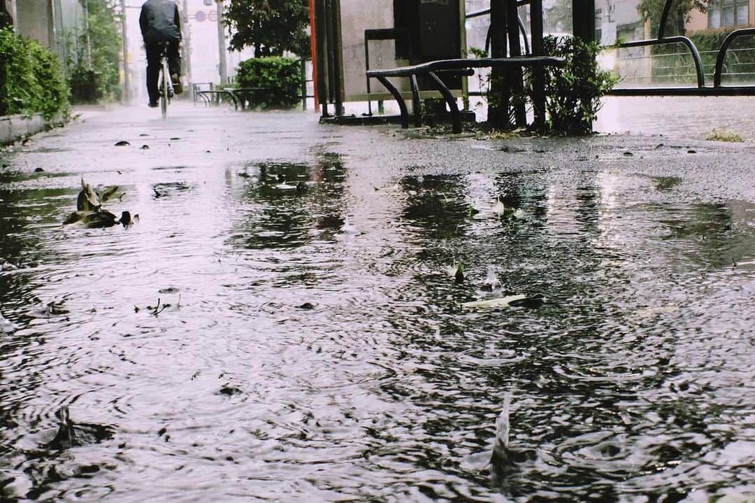 岡本至恩さんのインスタグラム写真 - (岡本至恩Instagram)「rainy day, stay positive . #写ってルンです」11月22日 20時44分 - seanokmt