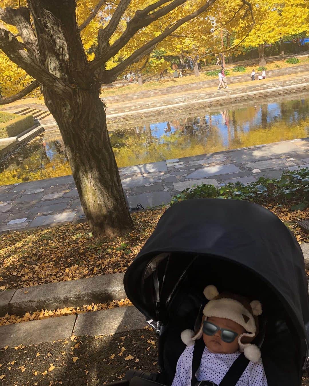 佐野真依子さんのインスタグラム写真 - (佐野真依子Instagram)「明日も秋散歩たのしみだ🦊🍁」11月22日 20時42分 - sanomaisanomai