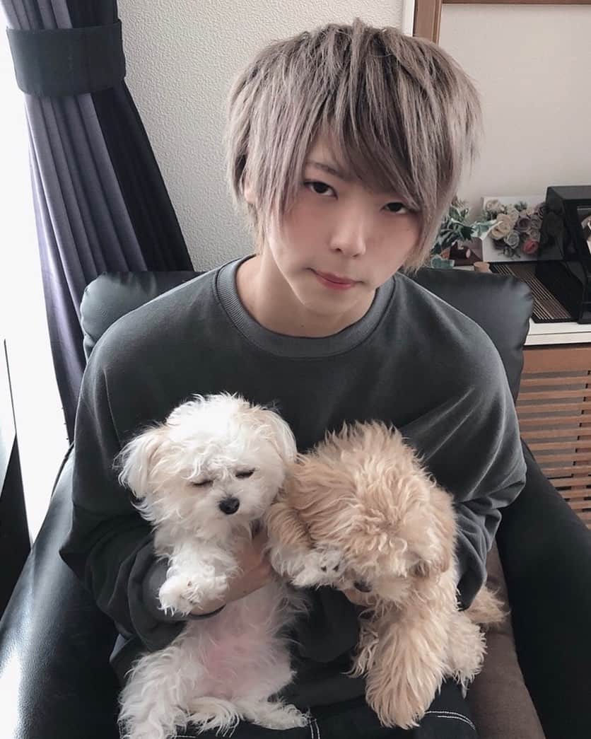 圭吾のインスタグラム：「上手く写ってくれない犬」