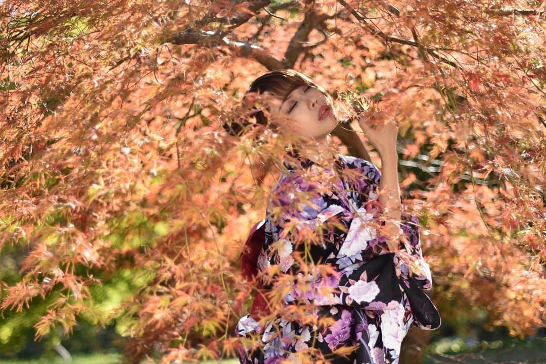 akane...さんのインスタグラム写真 - (akane...Instagram)「今年初紅葉🍁 まだ6部くらいだったかな、来週あたりが見頃かな！ 去年はあまり紅葉撮れなかったので今年はイチョウも行くし楽しみがいっぱい！ 、 、 Photo by TASAKI 、 、  follow me ❤️ #写真 #ファインダー越しの私の世界 #photo#portrait #ポートレート  #楽しい#ヘルプマーク #Japan#撮影会#japan#日本#一眼レフ #portraits#인물#인물사진#picoftheday #photography #好き#love #pic#picture #モデル#followme#インフルエンサー#ファッション#コーデ#ヘアモデル」11月22日 21時05分 - akane.nekoneko