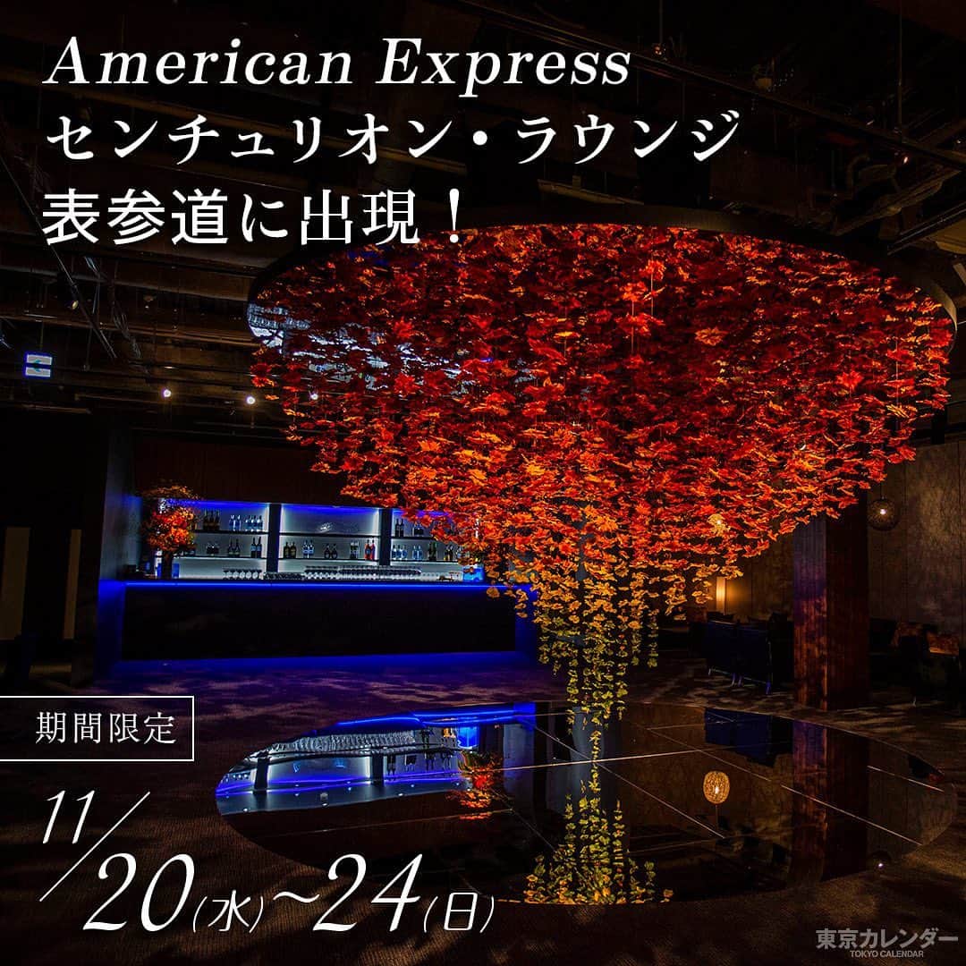 東京カレンダーさんのインスタグラム写真 - (東京カレンダーInstagram)「アメリカン・エキスプレスの限られたカード会員のための、スペシャルな空港ラウンジ「センチュリオン・ラウンジ」のポップアップが、 「東京離宮」と題して、11月20日（水）～24日（日）の期間限定で表参道に出現中！ . お茶や紅葉など、日本の秋を取り入れたおもてなしを提供している。 . 普段、空港で同ラウンジを利用している方も、そうでない方も この機会にぜひその世界観を体験してみてはいかが？ . ------ The Centurion® Lounge Pop Up ～東京離宮～ 期間：2019年11月20日（水）～11月24日（日） 住所：東京都渋谷区神宮前６丁目35-6　jing（ジング）内 営業時間：12：00～20：00（ラストオーダー19：30） ※以下のカード会員専用のサービスとなります。 ・センチュリオン®・カード ・プラチナ・カード® ・アメリカン・エキスプレス®・ビジネス・プラチナ・カード ・アメリカン・エキスプレス®・プラチナ・コーポレート・カード . ※1名のカード会員につき、2名まで同伴可 . #TheCenturionLounge #東京離宮  #アメリカンエキスプレス#アメックス#クレカ#amexlife #センチュリオンラウンジ#期間限定#ポップアップ#amex #AmericanExpress#アメックスプラチナ#アメックスラウンジ#東京カレンダー#東カレ」11月22日 21時08分 - tokyocalendar