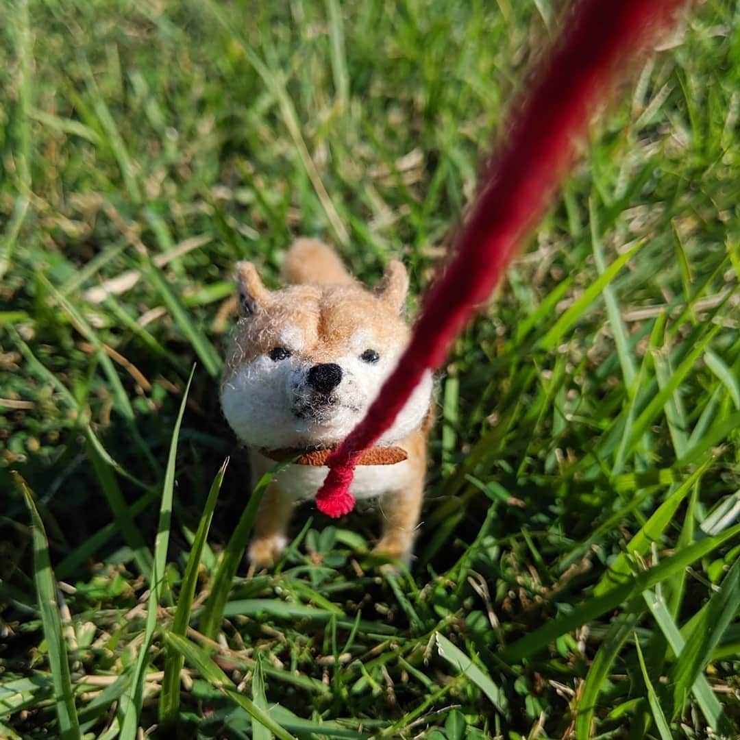 9GAGさんのインスタグラム写真 - (9GAGInstagram)「Kawaii shiba inu and hedgehog wool felt 📷 @yucococafe | IG - #9gag #fluffy #wool」11月22日 21時08分 - 9gag