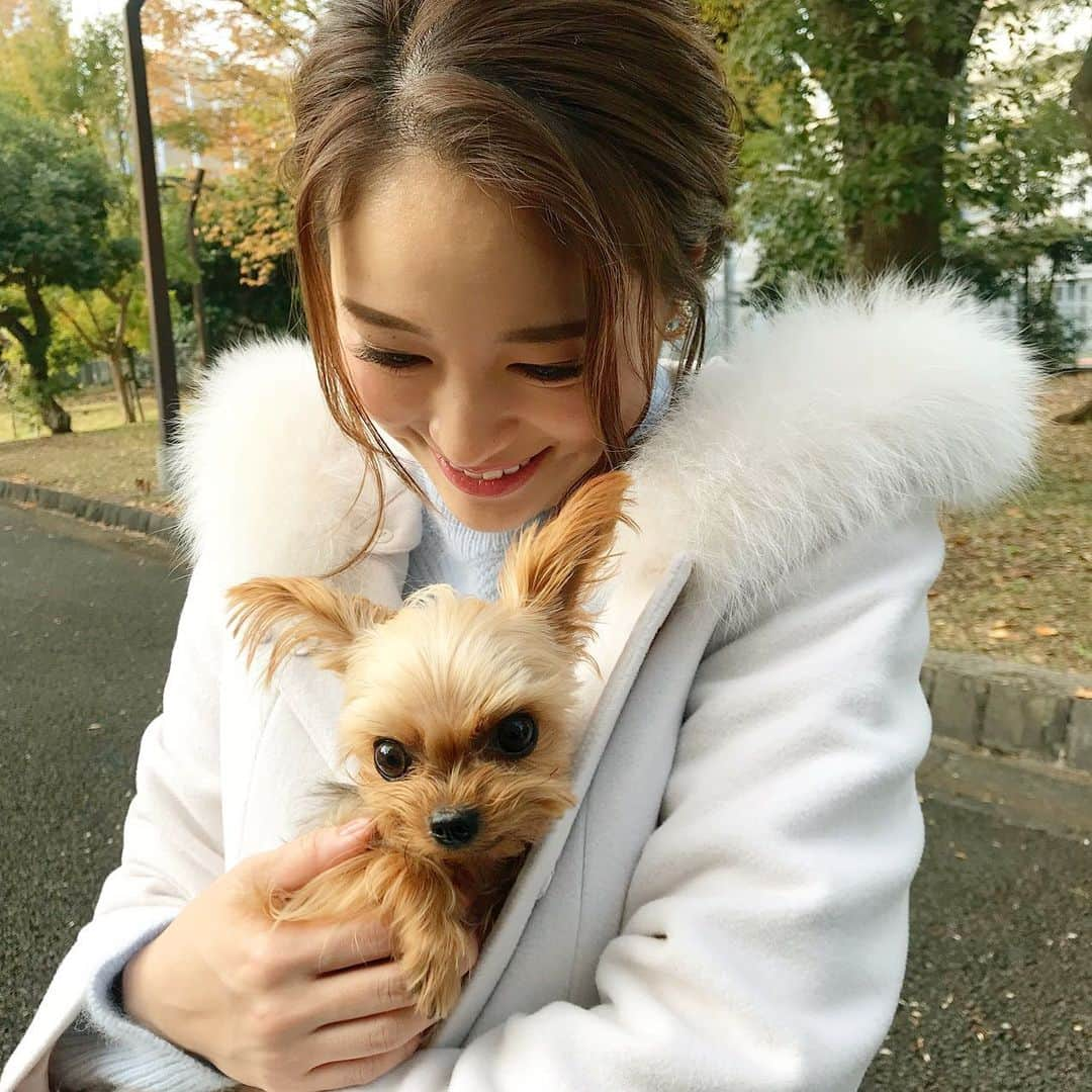 chayさんのインスタグラム写真 - (chayInstagram)「🐶❤️ 公園で美人百花の撮影中、可愛いわんちゃんがトテトテ歩いてたので思わず抱っこさせていただきました🐾癒しをありがとう☺️ 1月号お楽しみに🙆‍♀️ #美人百花 #dog #ヨークシャテリア」11月22日 21時18分 - chay1023_official