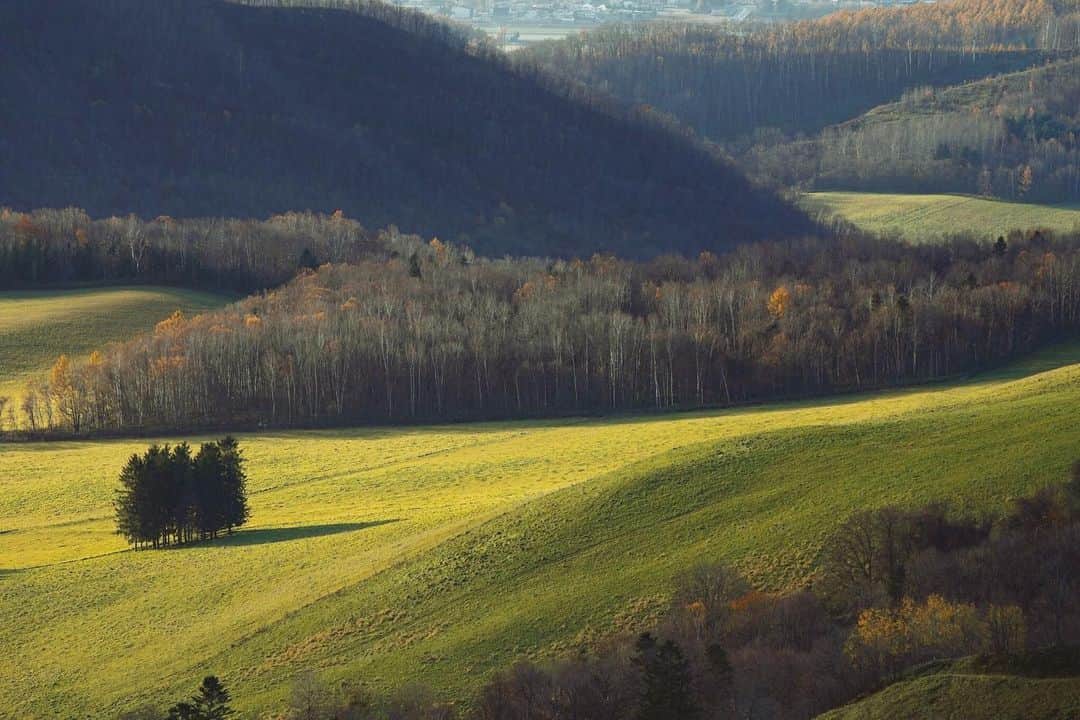Hikaruのインスタグラム：「Green hill. . . また、訪れたい場所。 でも、遠かったなぁ。 道東最高。 . .  #北海道 #本沢牧場 #instagramjapan #東京カメラ部 #tokyocameraclub #natgeospace #bealpha #SonyAlphasClub #pashadelic #team_jp #bestjapanpics_桜2018一部」