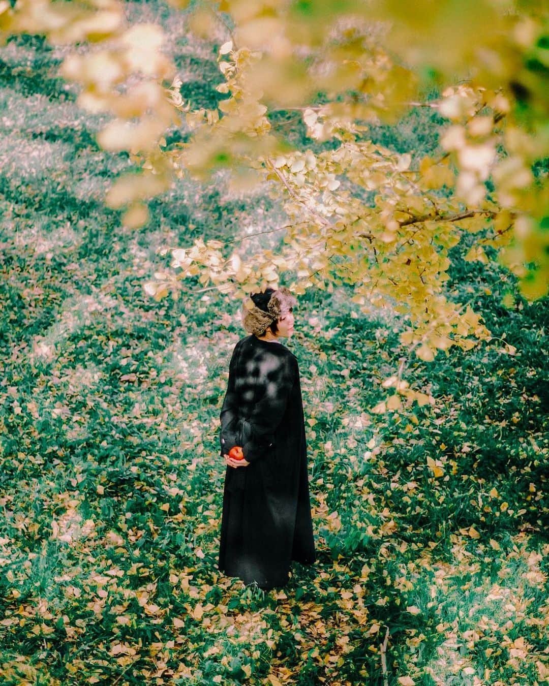 hiderin777のインスタグラム：「. . . . 黄金に染まる日本の秋🍂 . . . . #nokton  #50mmphotography  #50mmlens」