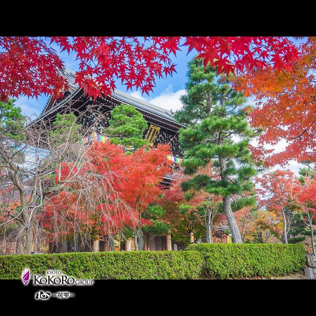 心－花雫－のインスタグラム