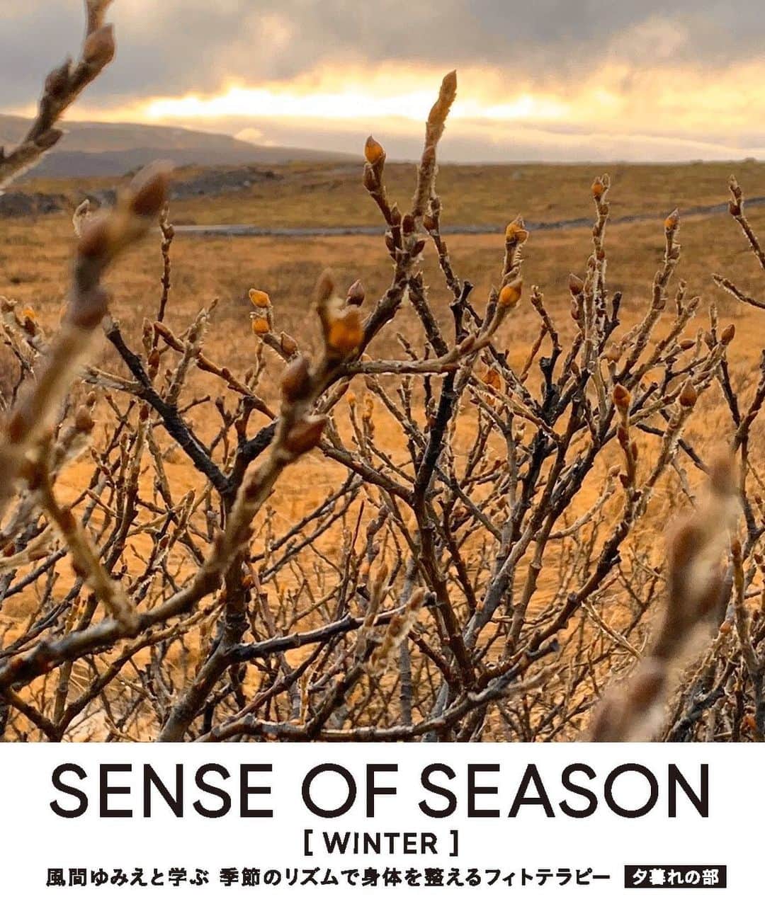 風間ゆみえのインスタグラム：「SENCE OF SEASON 【夕暮れの部】セミナー受講 . "美しい冬の過ごしかた" . 「腎のケア、インフルエンザ予防、 早めの花粉症予防」  冬のフィトテラピーケア 座学形式  日時：2019年12月2日(月) 　17:30 OPEN 　18:00-21:00  場所：Ones Jingumae 東京都渋谷区神宮前3-30-12  受講料：12,000円(税抜) ［季節の薬膳 料理研究家 中島芙美枝さんによる、冬の薬膳料理(お弁当)を皆さまでいただきます。］ . . 冬のフィトテラピーでは、年末年始にかけて忙しなく過ごす日々に、笑顔で健やかに美しく乗り過ごすためのフィトテラピーケアを学びます。  頑張り屋さんの身体をしっかりとケアしてあげましょう！  せっかくのお休みに、気が緩んで体調崩してしまう方も少なくはないと思います。かく云うわたしもその口でしたが、メディカルハーブとして使われる様々な植物を取り入れながら、免疫力を賦活させて、外敵(ウイルスや冷え)から身体を守れるように整えています。  皆さまには、すでに流行り始めているインフルエンザの予防、早めに始める花粉症予防について学んでいただきます。  そして、東洋医学の観点から冬は腎のケアを必要とされる季節。腎の不調は老化にもつながるのできちんとこの季節にケアすることをおすすめします。  さらに、夜の部では、忘年会などのパーティシーズンのお酒のケアなども併せて、皆さまで身体をあたためるヴァンショー(ホットワイン)をいただきながら、お話しさせていただきます‼︎ 「ヴァンショーに使うワインは私の行きつけのワインストアで身体に美味しいビオワインを用意して作ります‼︎ 」  申し込みに関する注意事項 ※お支払いはクレジット決済のみとさせて頂きます。 ※購入が完了しましたらご登録のメールアドレスへ完了メールを自動配信しておりますので、そちらを大切に保管下さい。 ※チケットなどの送付は行いませんので、当日会場の受付にてお名前をお伝え下さい。 ※セミナー1週間前からのキャンセルはお受け致しかねます。 ※定員に達し次第締め切らせていただきます。」