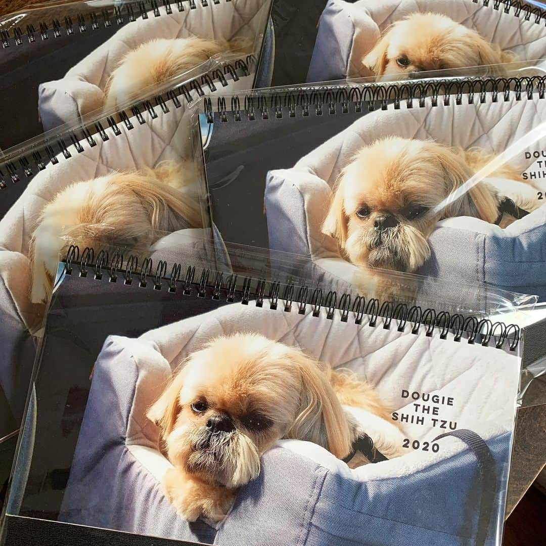 Dougie the Shih Tzuさんのインスタグラム写真 - (Dougie the Shih TzuInstagram)「All preorders have been shipped!  Thank you 😘 I have some extra calendars in stock right now and ready to ship. Go to www.dailydougie.com or link in the bio.」11月23日 7時40分 - dailydougie