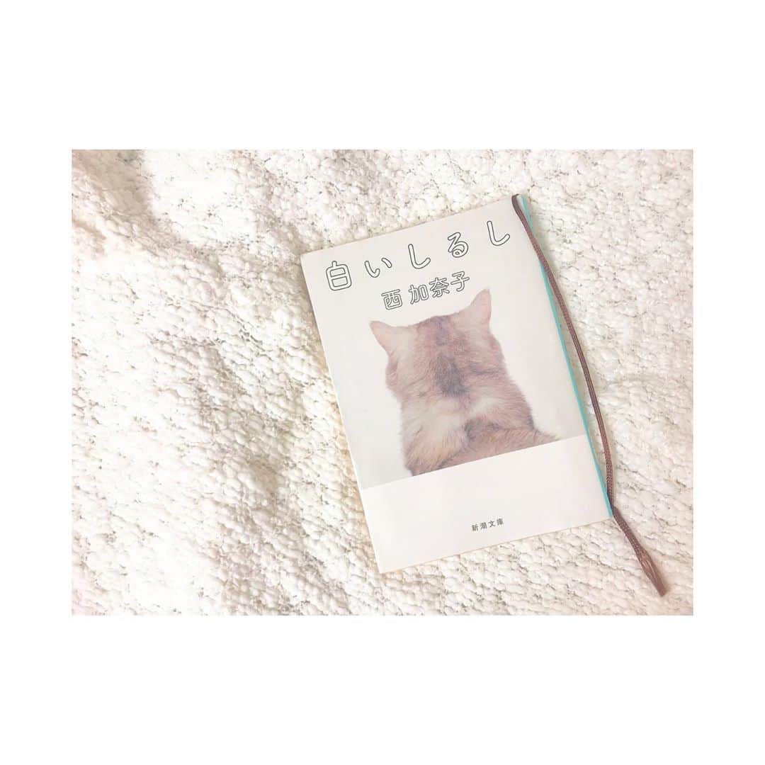 森脇加奈子のインスタグラム：「． 📖 最近読めるようになった文庫本。 ． ． 西加奈子さんの白いしるし🐏 名前が同じ漢字で親近感が湧いてつい買ってしまう。（ちょろい）笑 ． ． 本が苦手な私だったけど、西さんの書く文章はすらすら入ってきてこころを｢きゅ。｣って感じにさせてくれる気がする…。 ． ． まだまだもっと読みこんでいきたいなあ💭 #読書 #西加奈子 #白いしるし」