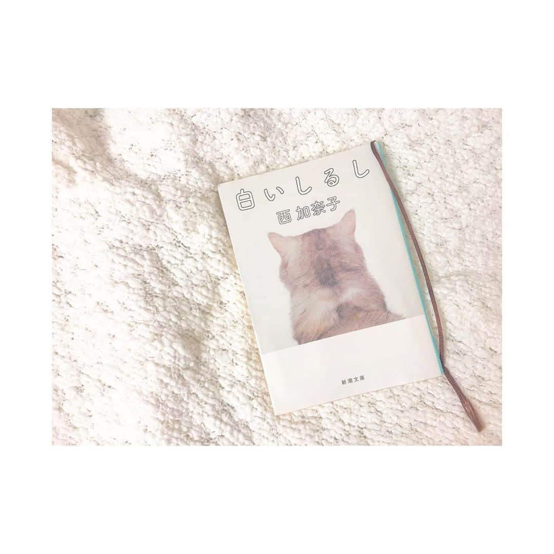 森脇加奈子さんのインスタグラム写真 - (森脇加奈子Instagram)「． 📖 最近読めるようになった文庫本。 ． ． 西加奈子さんの白いしるし🐏 名前が同じ漢字で親近感が湧いてつい買ってしまう。（ちょろい）笑 ． ． 本が苦手な私だったけど、西さんの書く文章はすらすら入ってきてこころを｢きゅ。｣って感じにさせてくれる気がする…。 ． ． まだまだもっと読みこんでいきたいなあ💭 #読書 #西加奈子 #白いしるし」11月23日 0時00分 - canaco316