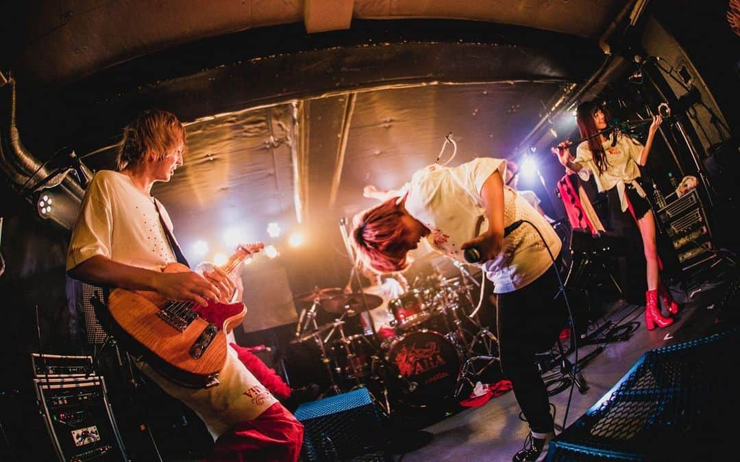 AliAさんのインスタグラム写真 - (AliAInstagram)「Thank you Takamatsu!!! 2019.11.22 live at Takamatsu Too Nice  with #ウソツキ #Novelbright  photo by @yamada_mphoto」11月23日 0時02分 - alia___official