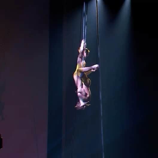TED Talksのインスタグラム：「Swinging into the weekend like…  Visit the link in our bio to watch neuroscientist Beau Lotto’s TED Talk on the science of awe, featuring a jaw-dropping performance by @cirquedusoleil.」