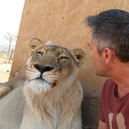 Kevin Richardson LionWhisperer のインスタグラム