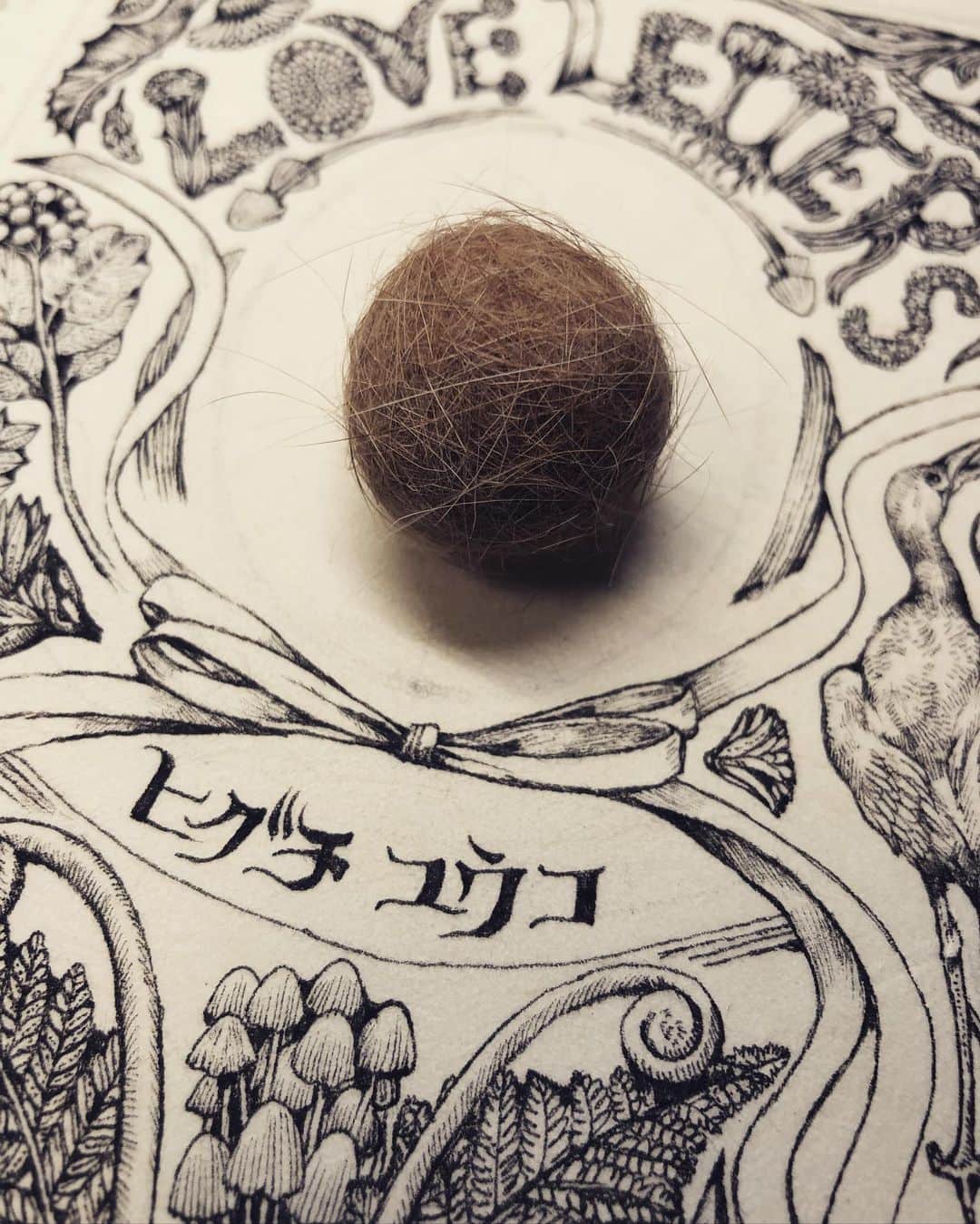 ヒグチユウコのインスタグラム