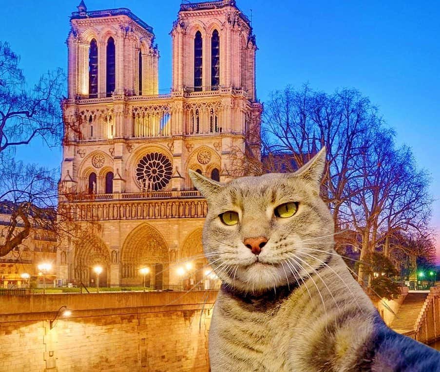 マニーのインスタグラム：「😼Have a Good Weekend! Name where this is and get a 🥇」