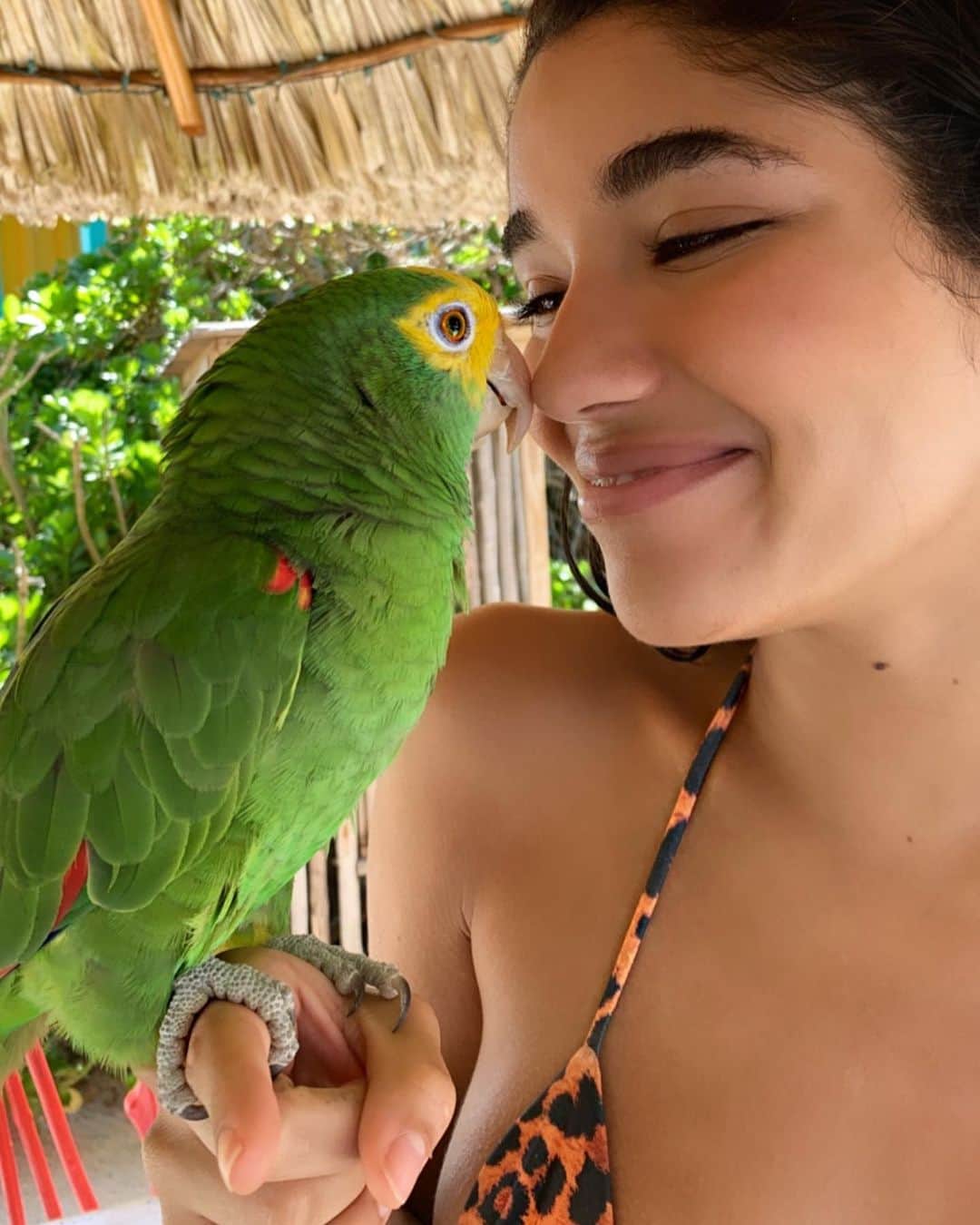 イヴァンナ・ヴェンチュラさんのインスタグラム写真 - (イヴァンナ・ヴェンチュラInstagram)「Caption this 😩😍 🦜 | 👙 @shopyoventura 🐆」11月23日 3時39分 - yoventura