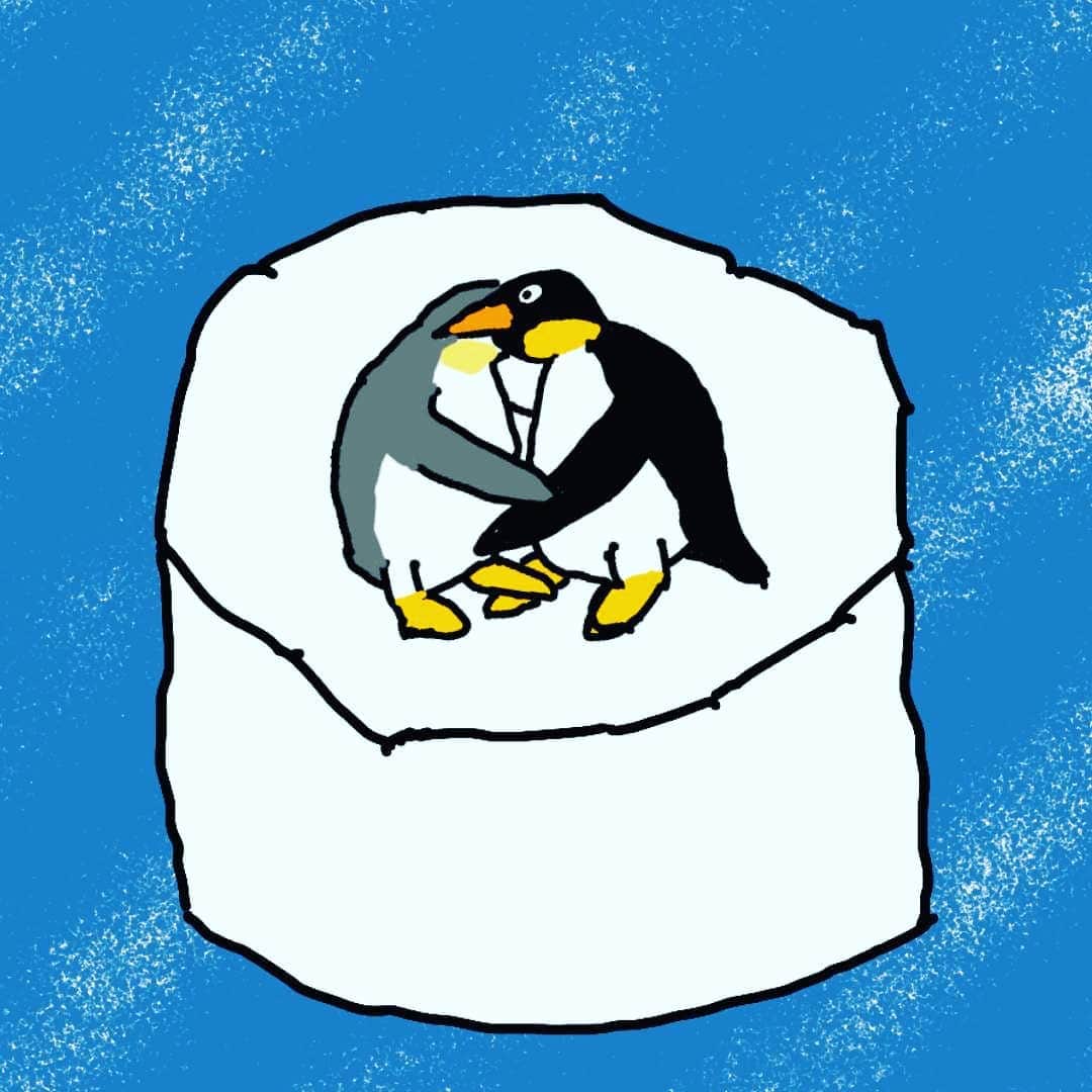 ニシダさんのインスタグラム写真 - (ニシダInstagram)「ペンギン大相撲 南極場所」11月23日 3時42分 - nishida__kuso_no_ko
