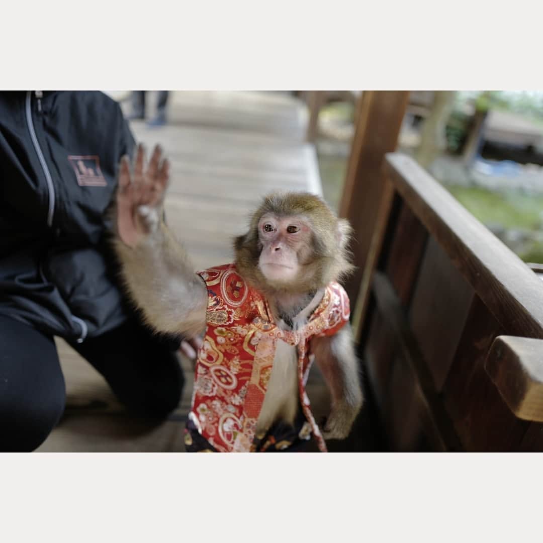 花澄のインスタグラム