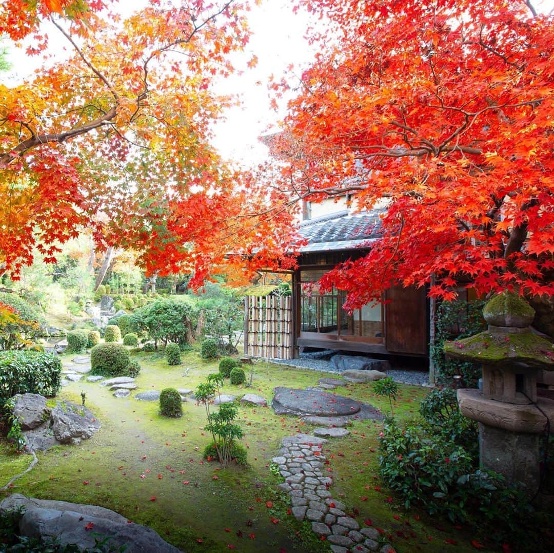 桜鶴苑のグルメインスタ