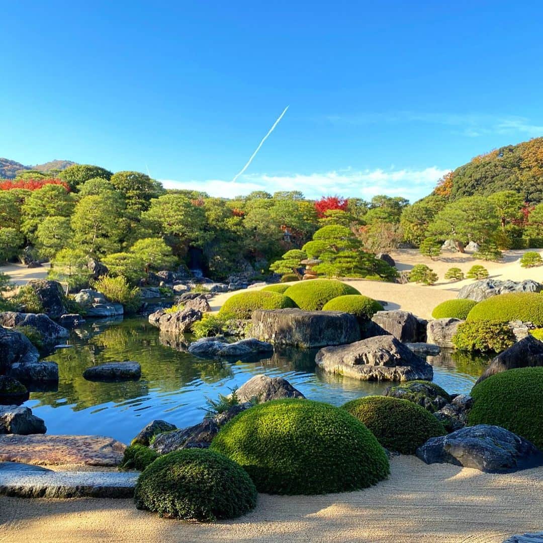 のインスタグラム：「母の実家のお墓参りからの、足立美術館。 日本庭園ランキング16年連続日本一、ミシュラン3つの星。  横山大観、橋本関雪、川端龍子、河井寛次郎、北大路魯山人を堪能。  足立美術館へ幼少の頃から足を運ぶ度に、日本画の名品の良さを知る。 この歳になって気付く事も多々あり。  毎回パワーをもらいます。」
