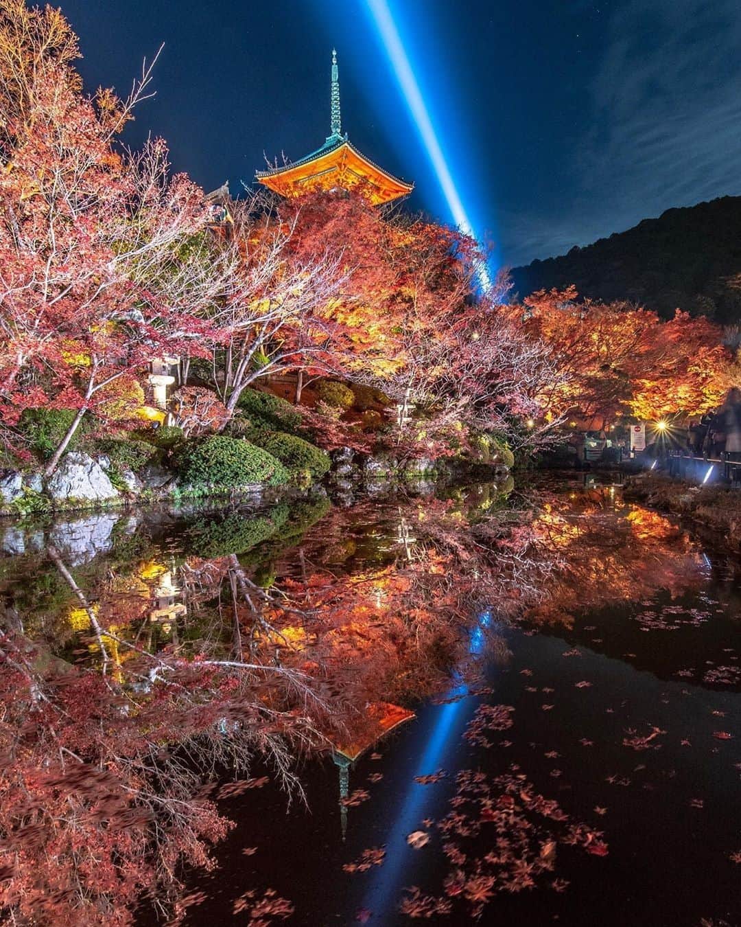 楽天トラベル さんのインスタグラム写真 - (楽天トラベル Instagram)「#京都 #清水寺 恒例の秋の夜間特別拝観が始まっています。 . ■秋の夜間特別拝観■ 11月16日（土）～12月1日（日） 午後5時30分～午後9時（受付終了） . Special Thanks💓 📸Photo by @kou_camera ※こちらは過去の開催時のお写真です . ************************ 旅先で撮った素敵な写真に 場所とともに #rakutentravel を付けてシェアしてね♪ 厳選してこのアカウントで紹介させていただきます！ ************************ . #楽天トラベル #旅 #旅行 #旅に出よう #旅行好きな人と繋がりたい #日本 #紅葉 #京都旅行 #リフレクション #travel #trip #japan #instagramjapan #IG_JAPAN #japantrip #lovetraveling #lovers_nippon  #kyoyotrip」11月23日 18時00分 - rakutentravel