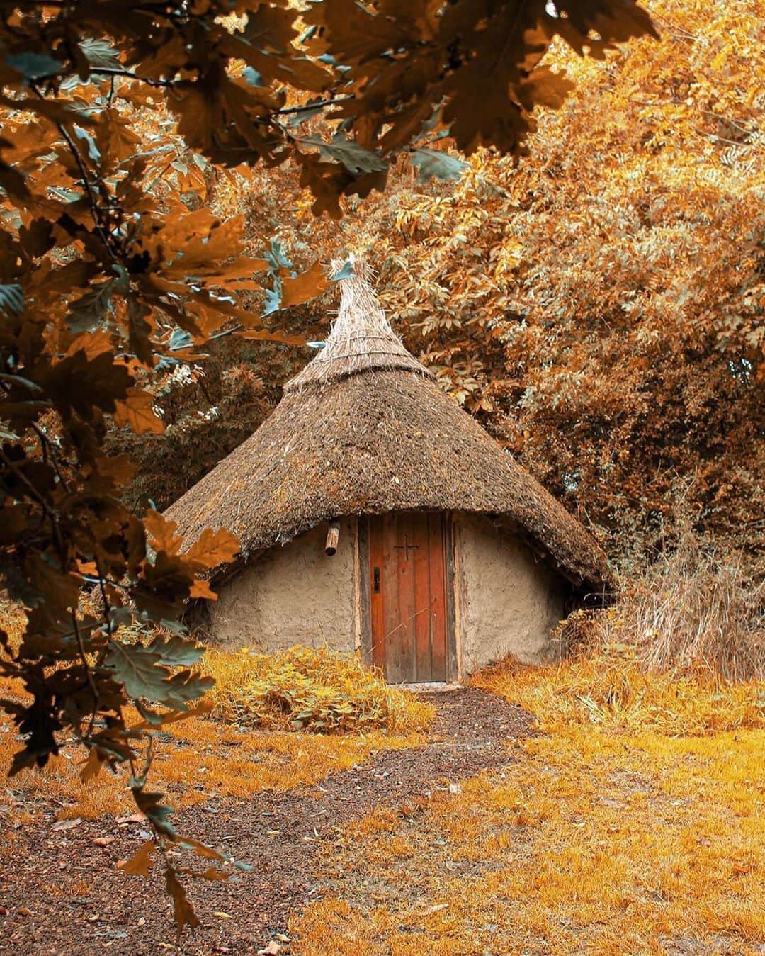 Airbnbさんのインスタグラム写真 - (AirbnbInstagram)「Despite appearances, Superhost Amanda’s woodland hut didn’t actually spring up from the earth. But it’s perfect for a few unplugged days of exploring the Somerset Levels. Walk the meandering River Parrett Trail or peruse hand-thrown classics at John Leach’s Muchelney Pottery.  Photo: @weekend_wanderlust_」11月23日 9時19分 - airbnb
