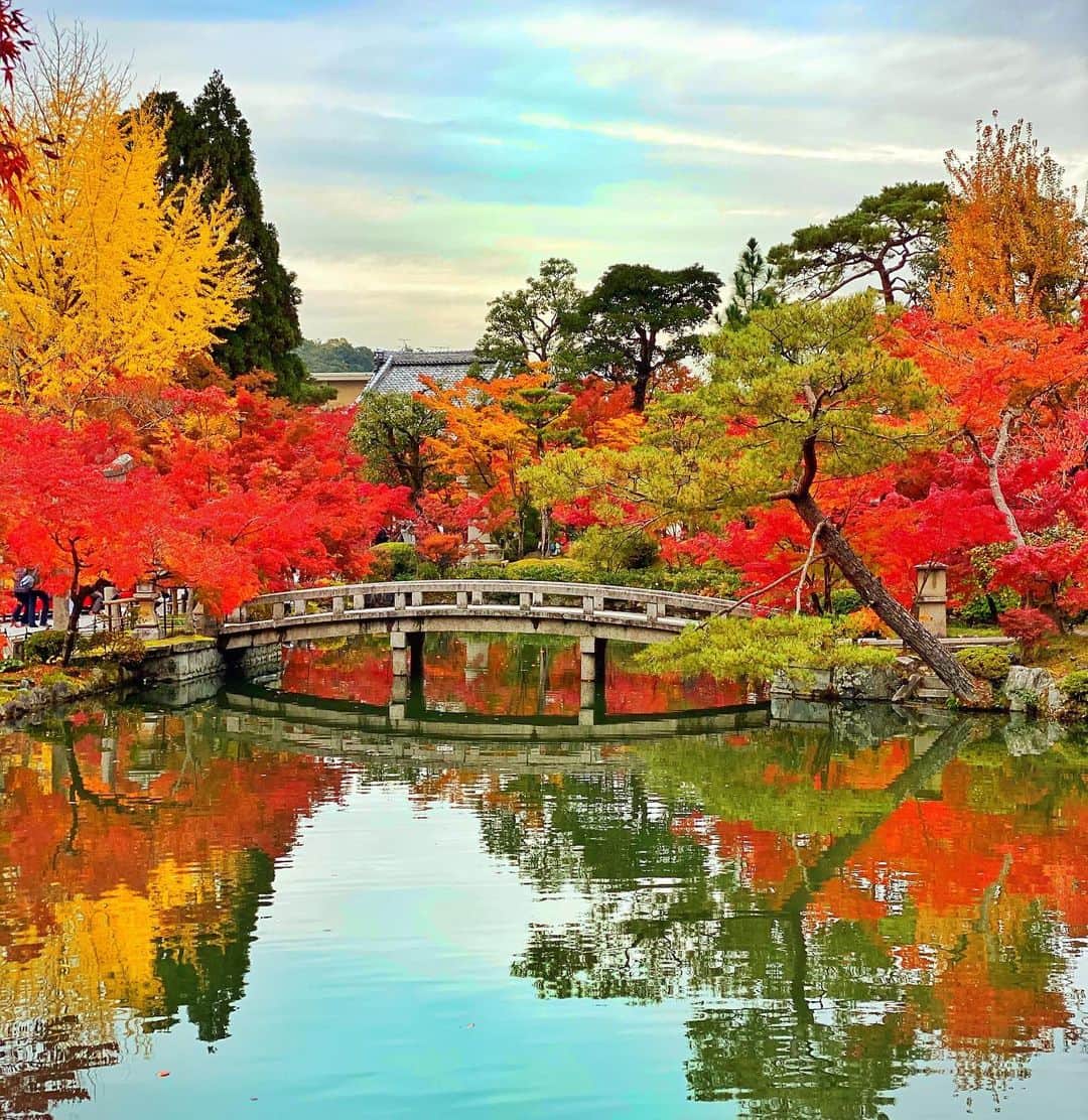アンミカさんのインスタグラム写真 - (アンミカInstagram)「久しぶりに夫婦で京都へ紅葉狩り🍁 雨の予報が晴れになり☀️、空気も澄んで絶好の紅葉狩り日和に感謝✨ 。 自然の美の中に身を置き、ホッと一息するのも大切と感じた、心温まるひと時。。。 。 #日本の紅葉と桜が大好きな旦那様と🌸🍁 #夫婦共に超絶晴れ男晴れ女☀️☀️ #旦那様のアイフォン11の画質が凄く美しい✨ #紅葉を見ながらの甘酒やお抹茶は最高！ #永観堂が紅葉は見頃すぎます🍁 #紅葉狩り　#京都　#永観堂　#夫婦旅 @theodoremillertokyo」11月23日 9時27分 - ahnmikaofficial