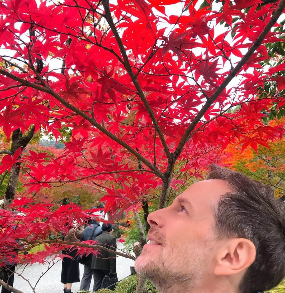 アンミカさんのインスタグラム写真 - (アンミカInstagram)「久しぶりに夫婦で京都へ紅葉狩り🍁 雨の予報が晴れになり☀️、空気も澄んで絶好の紅葉狩り日和に感謝✨ 。 自然の美の中に身を置き、ホッと一息するのも大切と感じた、心温まるひと時。。。 。 #日本の紅葉と桜が大好きな旦那様と🌸🍁 #夫婦共に超絶晴れ男晴れ女☀️☀️ #旦那様のアイフォン11の画質が凄く美しい✨ #紅葉を見ながらの甘酒やお抹茶は最高！ #永観堂が紅葉は見頃すぎます🍁 #紅葉狩り　#京都　#永観堂　#夫婦旅 @theodoremillertokyo」11月23日 9時27分 - ahnmikaofficial