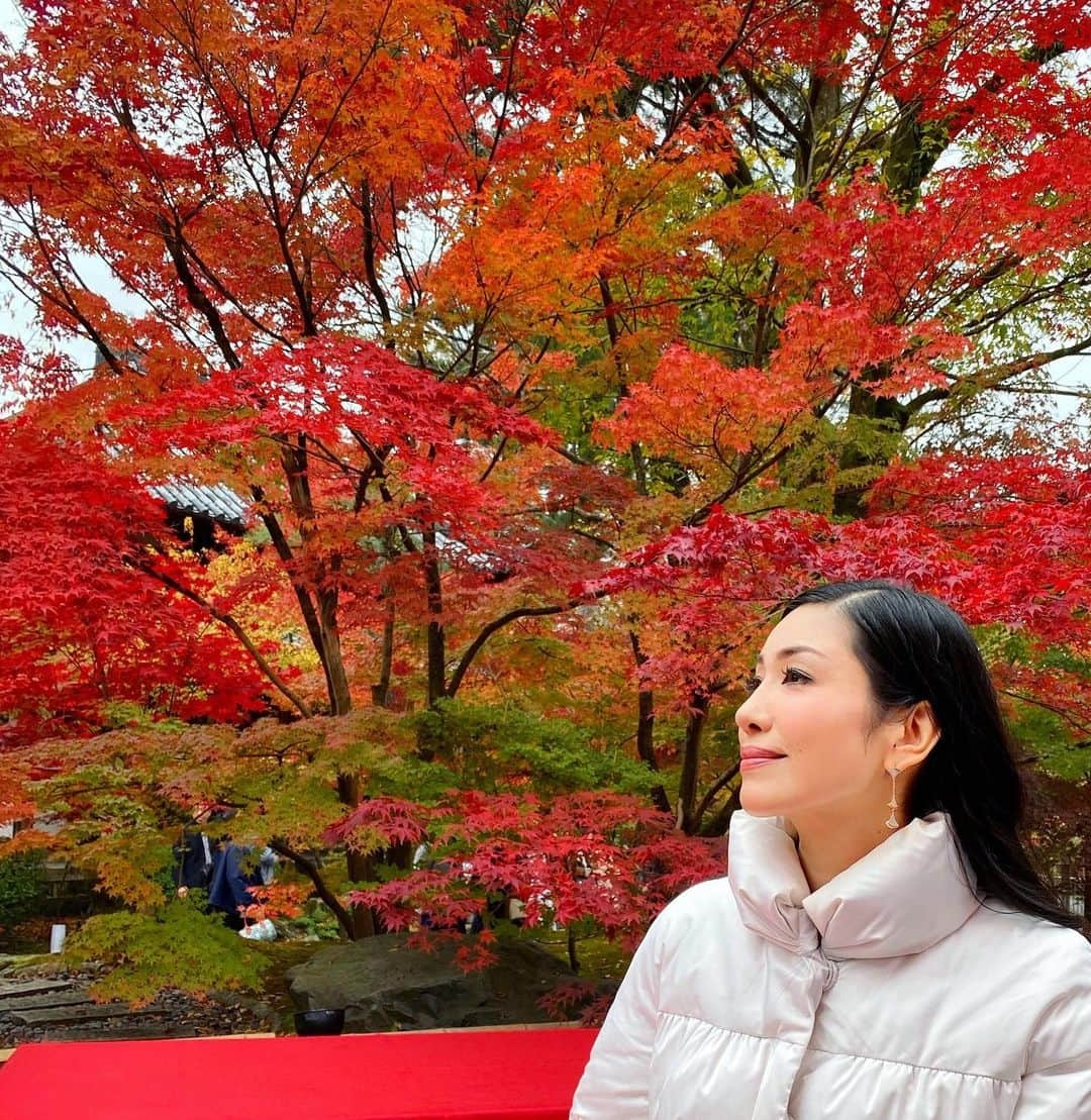 アンミカさんのインスタグラム写真 - (アンミカInstagram)「久しぶりに夫婦で京都へ紅葉狩り🍁 雨の予報が晴れになり☀️、空気も澄んで絶好の紅葉狩り日和に感謝✨ 。 自然の美の中に身を置き、ホッと一息するのも大切と感じた、心温まるひと時。。。 。 #日本の紅葉と桜が大好きな旦那様と🌸🍁 #夫婦共に超絶晴れ男晴れ女☀️☀️ #旦那様のアイフォン11の画質が凄く美しい✨ #紅葉を見ながらの甘酒やお抹茶は最高！ #永観堂が紅葉は見頃すぎます🍁 #紅葉狩り　#京都　#永観堂　#夫婦旅 @theodoremillertokyo」11月23日 9時27分 - ahnmikaofficial