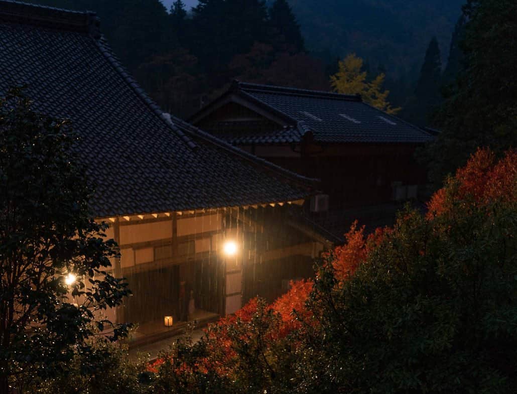 詩歩さんのインスタグラム写真 - (詩歩Instagram)「🍁🍁🍁﻿ ﻿ 真っ赤に燃えるドウダンツツジの紅葉﻿ The beauty of autumn flaming leaves in Ankokuji, Japan.﻿ ﻿ ﻿ ずっと行ってみたかった、兵庫の #安国寺 へ。﻿ 境内に足を踏み入れ、この真っ赤な光景が視界に入った瞬間、思わず「わぁ〜！」と声をあげてしまいました。﻿ ﻿ 額縁のように切り取られて、まるで一枚の絵画のような美しさを放つドウダンツツジ🍁﻿ ﻿ 通常寿命が50年ほどと言われるドウダンツツジが、なんとここ安国寺では150年以上も育っているとのこと😳特別な手入れはしていないとか。﻿ ﻿ 1342年創建の由緒あるお寺。ここには良い気が流れているのかもしれないね🌱﻿ ﻿ ﻿ 帰り道に本堂の裏側から見た様子も圧巻👏このBIGサイズでも、株は2株ほどしかないそうです。﻿ ﻿ ﻿ 2019年のライトアップは終了していますが、ぜひ来年足をお運びください🍁﻿ ﻿ Ankokuji is a temple with a known history back 1345. This temple has became famous for the 100-year-old Dodan-Tsutsuji (Enkianthus perultas) trees that changing color to red in autumn. 2.5hours drive from Kyoto.🚗﻿ ﻿ ﻿ ﻿ 📷18th  Nov 2019﻿ 📍安国寺／兵庫県豊岡市﻿ 📍Ankokuji-temple／Hyogo Japan﻿ ﻿ ﻿ ©詩歩/Shiho」11月23日 9時49分 - shiho_zekkei