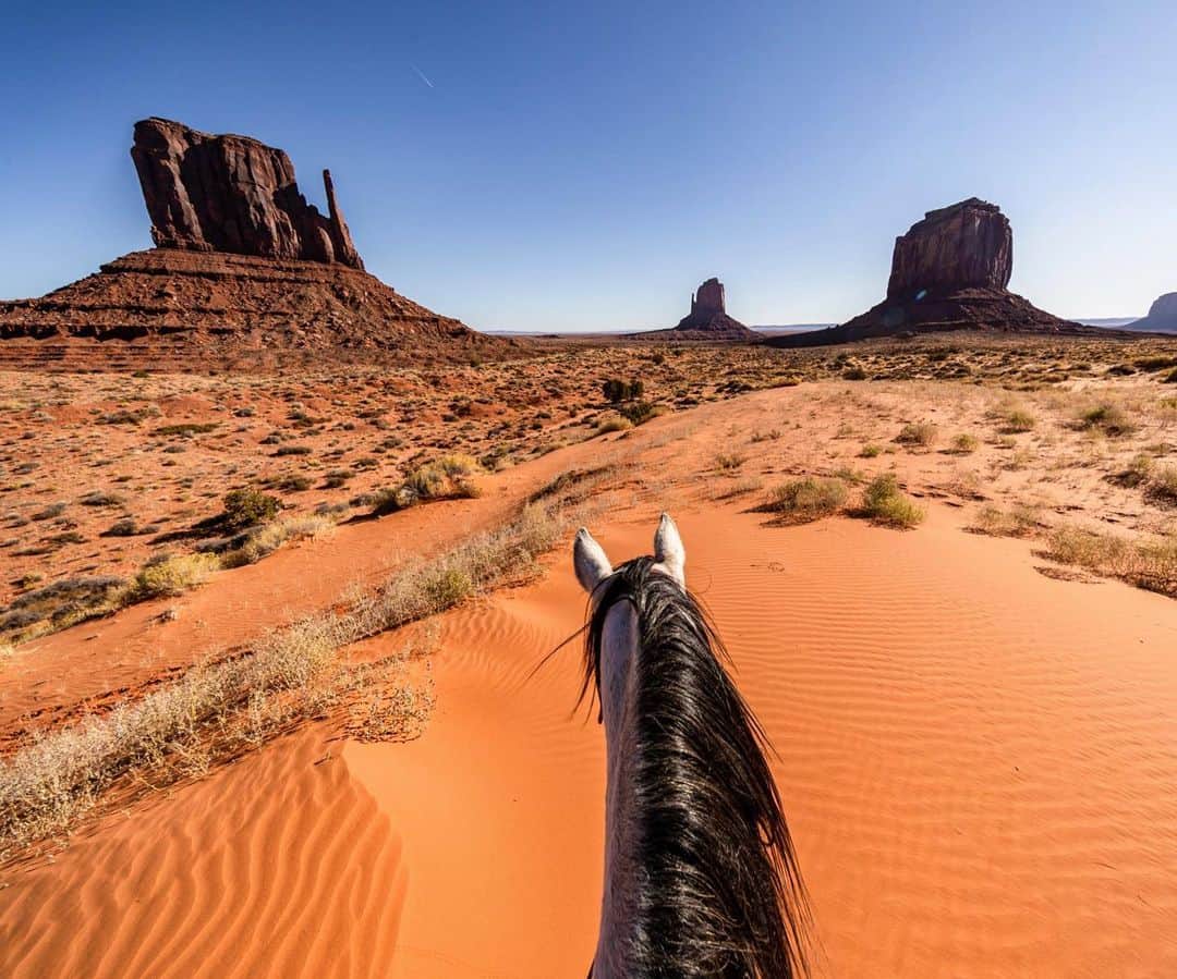 クリス・バーカードのインスタグラム：「If you really wanna get to know a place you gotta see it from a locals perspective. Preferably the four footed kind.」