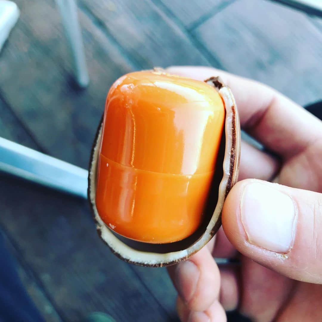 橋本大地さんのインスタグラム写真 - (橋本大地Instagram)「#チョコエッグ 久々に見つけたから買った！しかもキティさんだし！笑」11月23日 10時02分 - risingddt_daichi