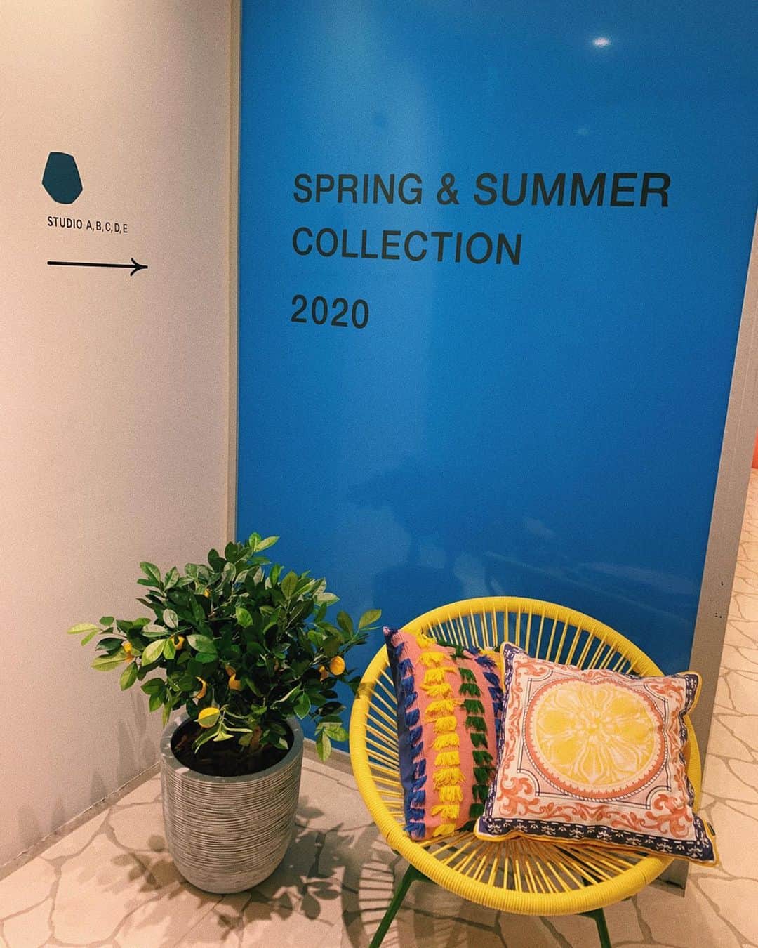 sayocoさんのインスタグラム写真 - (sayocoInstagram)「Francfranc 2020 spring & summer🌻 ・ @shiori__ozaka と展示会行って来た🥳💓 ・ ラテンリゾートからのインスパイアで どこを切り取っても可愛い空間だった🌿💭💞 ・ ・ #Francfranc展示会」11月23日 10時31分 - sayoco