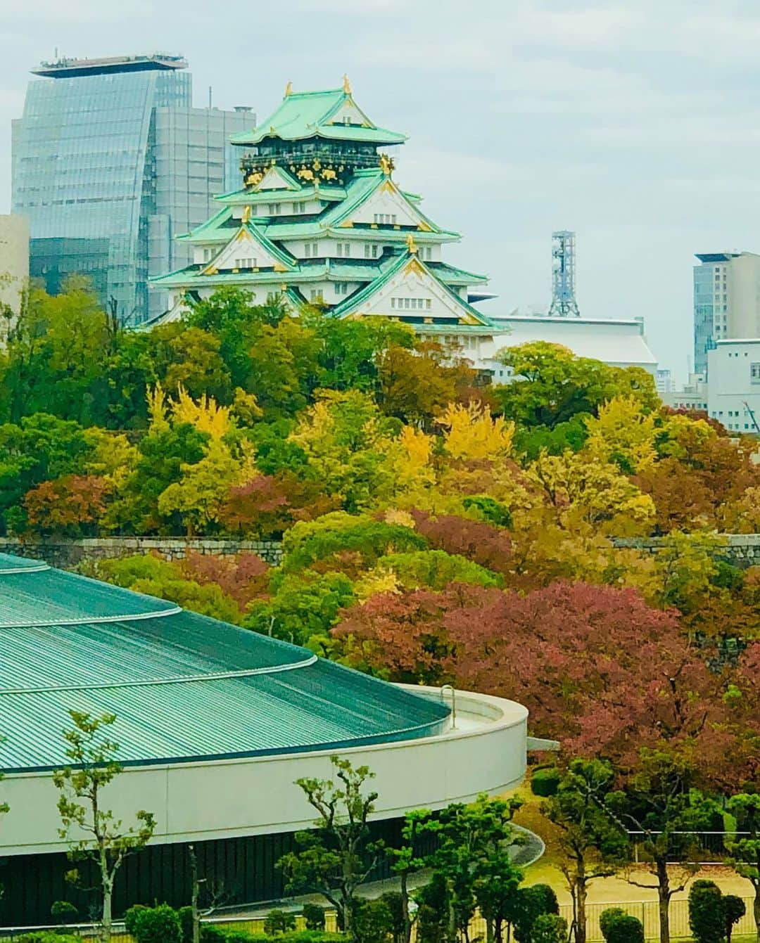 マイケル富岡のインスタグラム：「大都会×紅葉×城…良いコントラストじゃのう♡ #収録 #番組 #マイケル富岡 #俳優 #タレント #紅葉 #大阪 #大阪城 #shooting #actor #actorslife #osaka #osakacastle #love #autumn #fall #colors #leaves #bigcity」