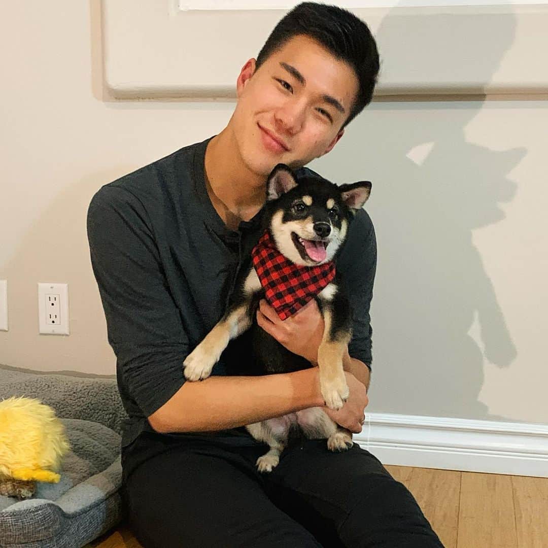 大森勝太朗のインスタグラム：「in love with Kenzo—my new Shiba Inu pup 🥰 🐶」