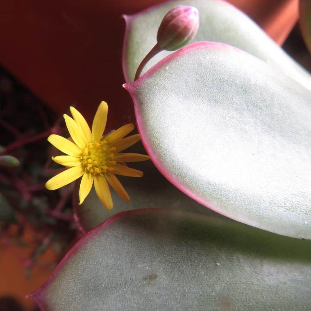 魔女菅原のグルメインスタ