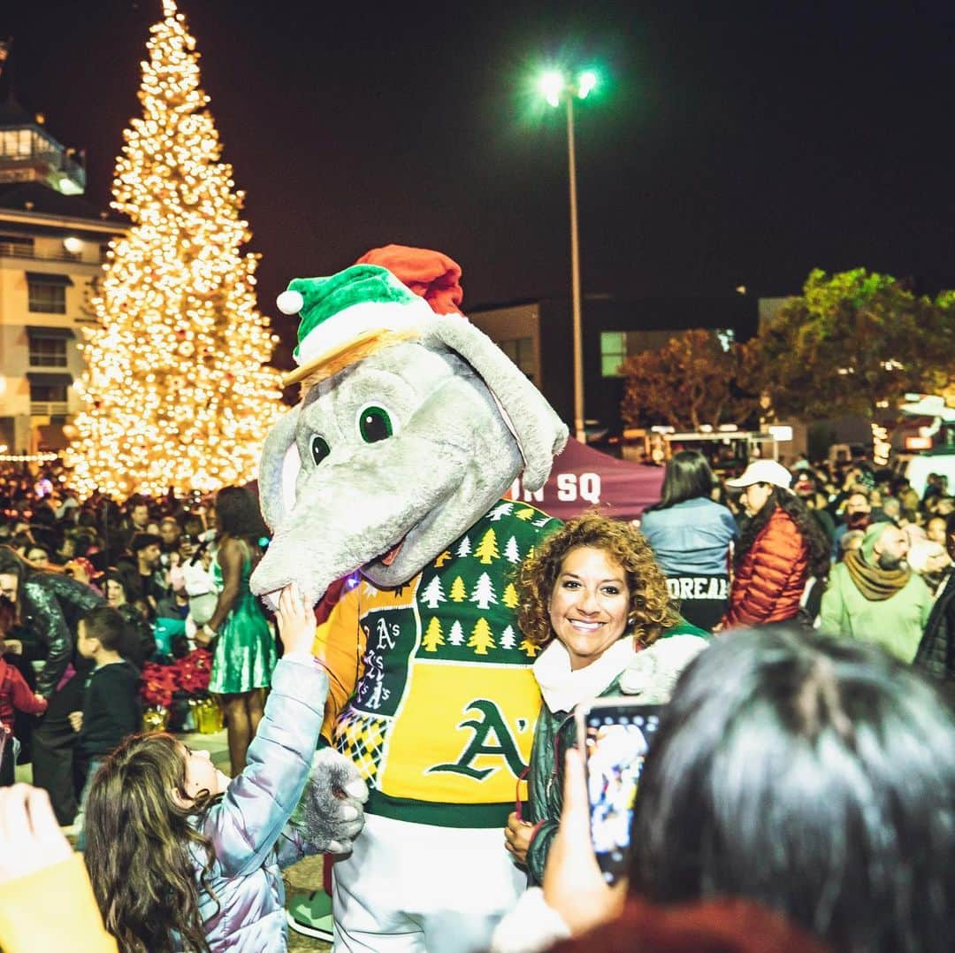 オークランド・アスレチックスさんのインスタグラム写真 - (オークランド・アスレチックスInstagram)「’Tis the season for sweaters, PSL, and the tree lighting in Jack London Square! #RootedInOakland」11月23日 12時41分 - athletics