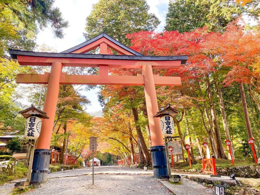 林弓束さんのインスタグラム写真 - (林弓束Instagram)「もうひとつ滋賀の素敵な神社 #日吉大社 も行きました。 紅葉がちょうど見頃で見事でした🍁 森林がいっぱいで、とーっても気持ち良かった✨ 神様にお供えされる湧き水が湧いていて飲んだら、とても美味しかったです✨ というわけで滋賀で二箇所のお寺と神社に行けてパワーをもらえた気がします！！！ 改めて滋賀は素敵なところだと感じられました☺️ 母のごはんは美味しいし、琵琶湖は美しいし、 自然がいっぱい。 帰る故郷があるっていいよね😋 またすぐにでも帰りたい❗️笑 . . #滋賀県　#滋賀県民 #滋賀県観光 #パワースポット神社」11月23日 13時23分 - hayashiyuzuka