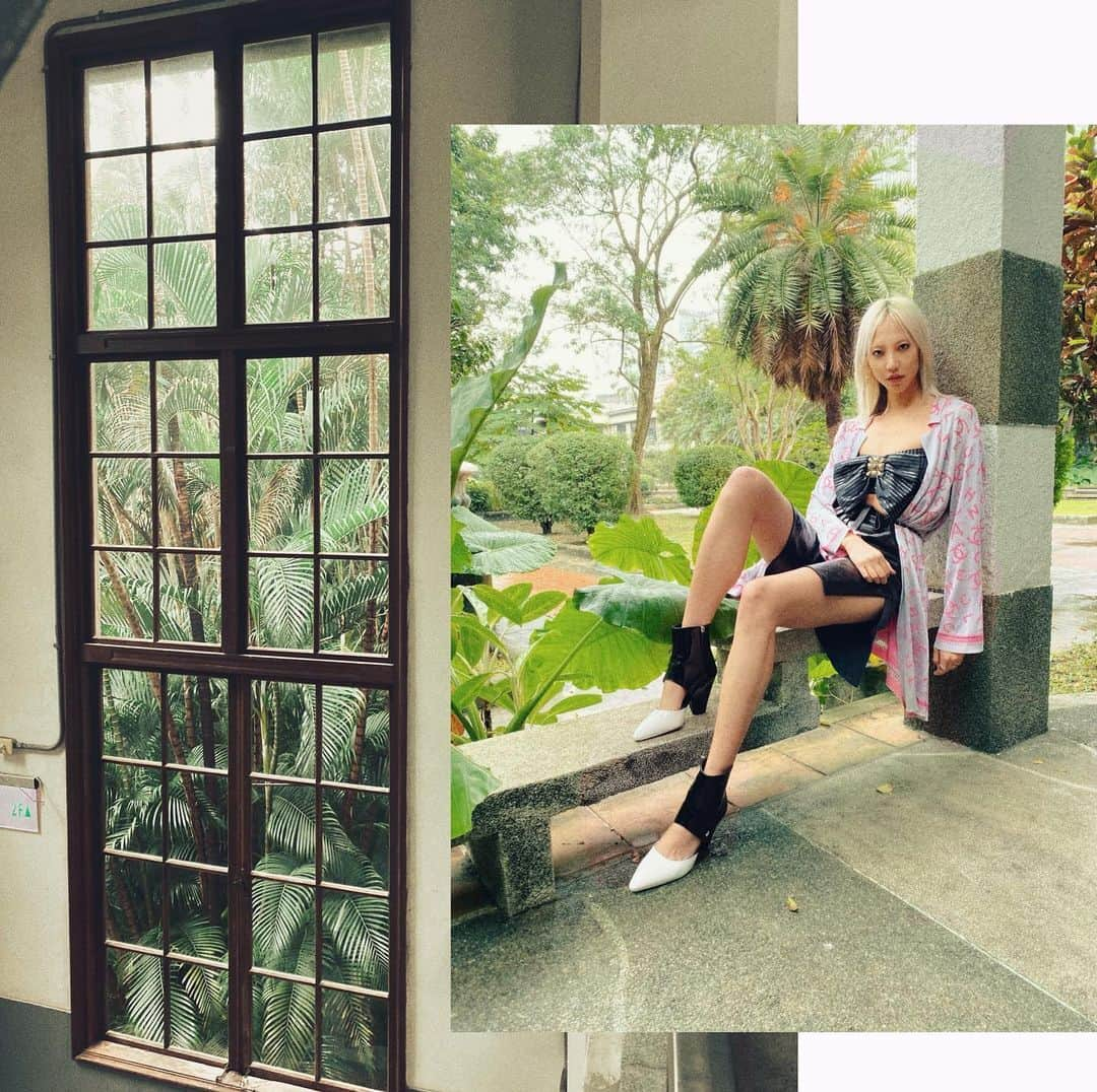 パク ・スジュさんのインスタグラム写真 - (パク ・スジュInstagram)「Lushly verdant subtropic city 🌸🌴」11月23日 13時45分 - soojoo