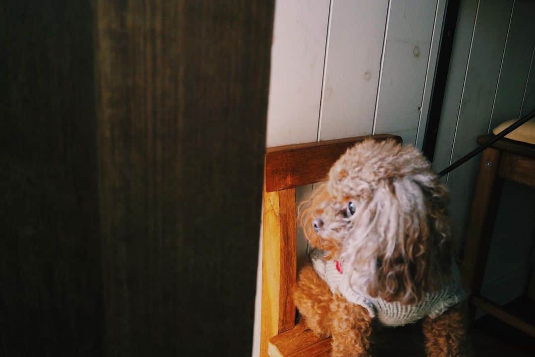 maruku. café のグルメインスタ