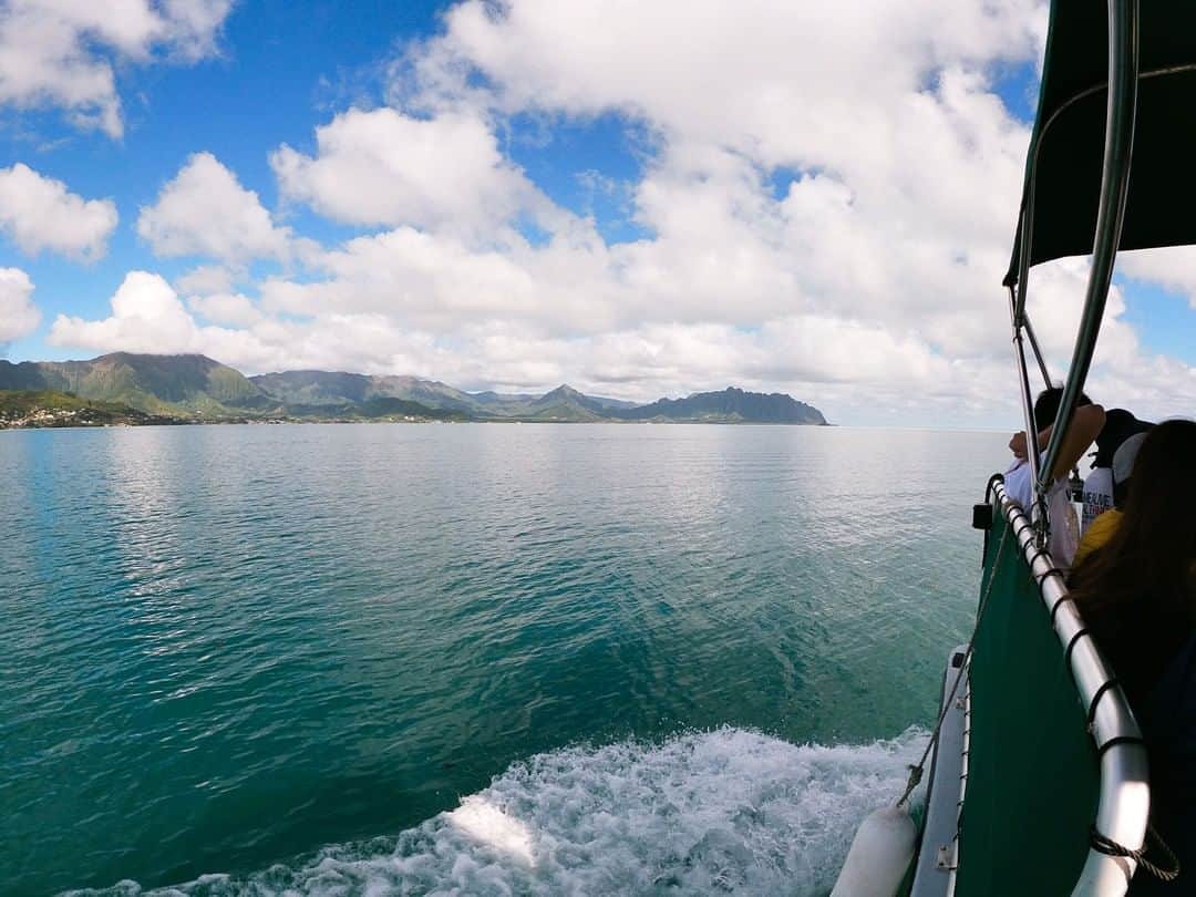 Luxury Cruise by Captain Bruceさんのインスタグラム写真 - (Luxury Cruise by Captain BruceInstagram)「天国の海ツアーへ出発！⁠ 港を出て約10分ほどで、海の真ん中にできた浅瀬が見え始めます＾＾⁠ ⁠ ⁠ #captainbruce #sandbar #kaneohe #hawaii #oahu #oahulife #vacation #travel #ahuolaka #view #キャプテンブルース #天国の海ツアー #天国の海 #アフオラカ #ハワイ大好き #オアフ島 #絶景 #海 #カネオヘ湾」11月23日 14時30分 - cptbruce_hi