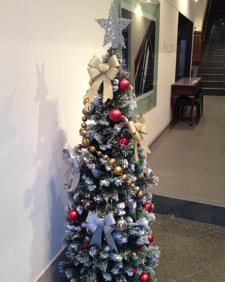 職人.comさんのインスタグラム写真 - (職人.comInstagram)「#SACRAビル の入り口に #クリスマスツリー が飾られました。三条ショールームは年末年始を除き年中無休で営業しておりますので、ぜひ京都観光ついでにお越しくださいませ。 https://www.shokunin.com/jp/showroom/sanjo.html @shokunincom  #職人ドットコム #京都 #京都市 #手仕事 #暮らしの道具 #そうだ京都行こう #暮らしを楽しむ #京都旅行 #京都巡り #京都観光 #京都散策 #京都散歩 #モノづくり #ものづくり #工芸品 #民芸 #民藝 #民芸品 #手工芸 #日本製」11月23日 15時27分 - shokunincom