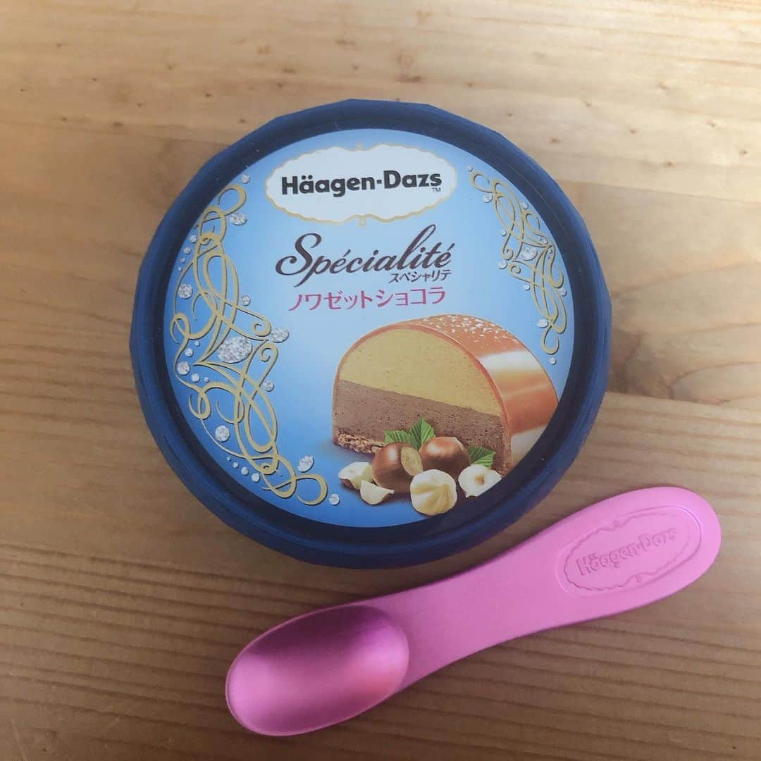 前田玲奈さんのインスタグラム写真 - (前田玲奈Instagram)「#haagendazs #specialite #ノワゼットショコラ みなさーーん💕ハーゲンダッツから冬のプレゼントきましたよーーー🎁 わたしね、昔ケーキ屋さんで働いてたことがあるんですけど 「ノワゼット」のこと今の今まで「ノアゼット」だと思ってました。ずっとそう書いてたしそう言ってました。はずかぴー！ ノワゼットはフランス語でヘーゼルナッツのことだよ！ こちらはヘーゼルナッツはもちろん、ありとあらゆるナッツが入ってて、ナッツを愛し、ナッツに愛されたアイスって感じです。 よくよくみると、ひまわりの種まで入ってるようで。 ハム太郎も大好き🌻 うまうま。うまうまなのだ。 ［ソース、アイス、フィアンティーヌ：薄く焼き上げたクレープ生地を細かく砕いたもの、アイス］の4層になっていて味の深みと食感の楽しさ。質が良すぎる。 ちなみにこれ…ちょっとお高くて450円するんですが、 居酒屋さんでバニラアイスを頼むなら！帰りにこのアイスを買って帰ってみてくださいな。 パッケージもキラキラのカッティングが綺麗です。 あ、表面に銀粉もかかってます。 霜と紛れてごめんなさい… さあ、ぜひ生活を豊かに🥄🥰 #アイ活　#コンビニアイス　#新作アイス　#ヘーゼルナッツ」11月23日 15時44分 - maedarena_ice