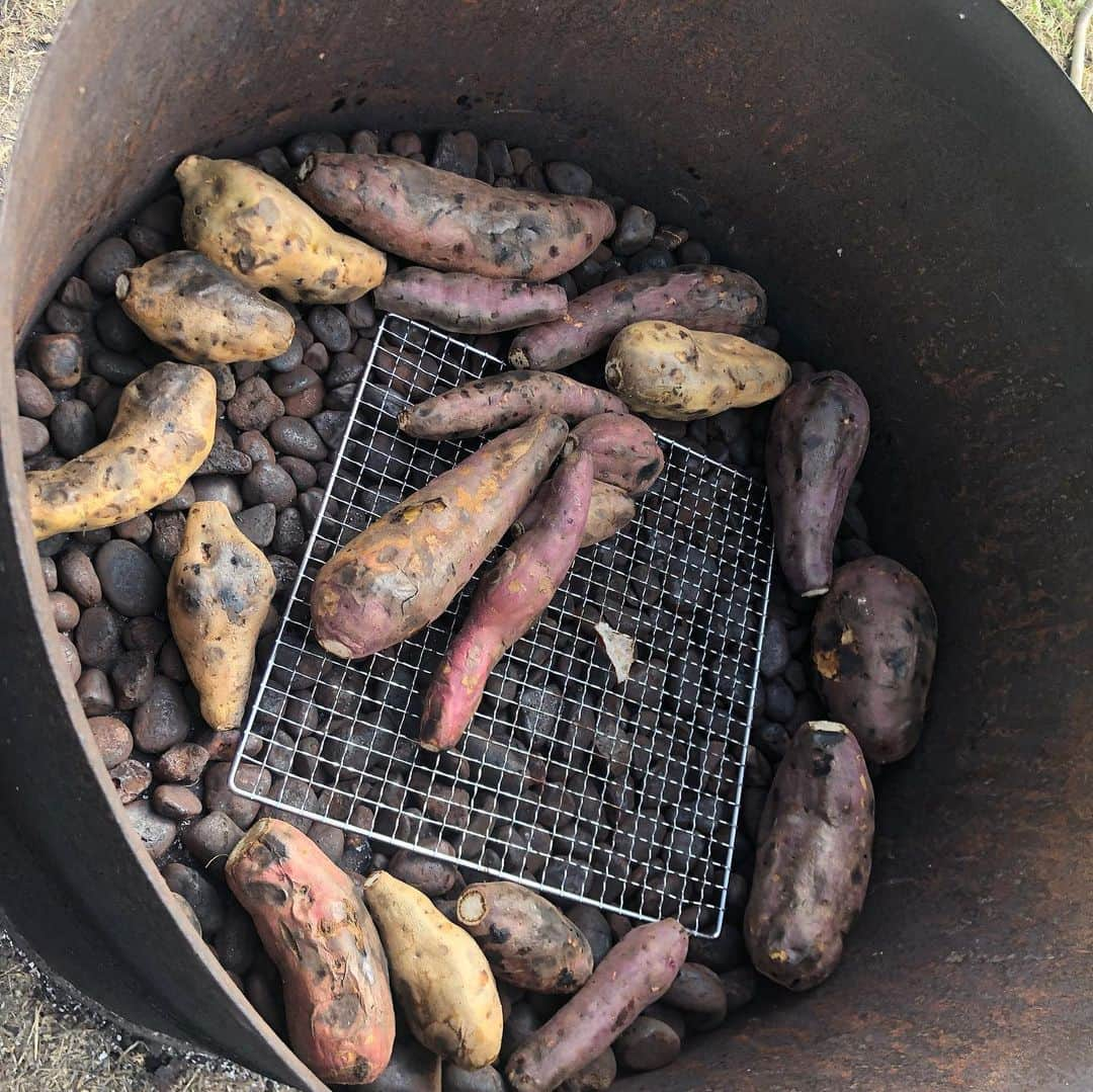 宮崎宣子さんのインスタグラム写真 - (宮崎宣子Instagram)「大自然の中での焼き芋🍠 本当に最高✨✨✨ 焼きたてホヤホヤ😆  #焼き芋 #芋が大好きすぎる  #サツマイモ大好き🍠  #焼きたてホヤホヤ #子どもたちに自然を  #素敵な経験ができました #ありがとうございます🙏」11月23日 16時32分 - miyazaki_nobuko