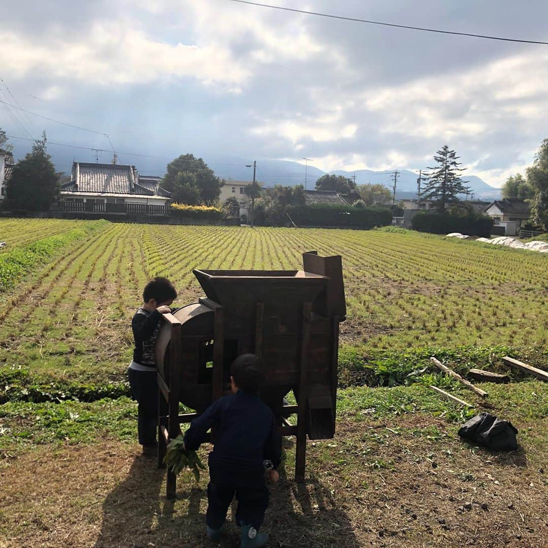 宮崎宣子さんのインスタグラム写真 - (宮崎宣子Instagram)「大自然の中での焼き芋🍠 本当に最高✨✨✨ 焼きたてホヤホヤ😆  #焼き芋 #芋が大好きすぎる  #サツマイモ大好き🍠  #焼きたてホヤホヤ #子どもたちに自然を  #素敵な経験ができました #ありがとうございます🙏」11月23日 16時32分 - miyazaki_nobuko