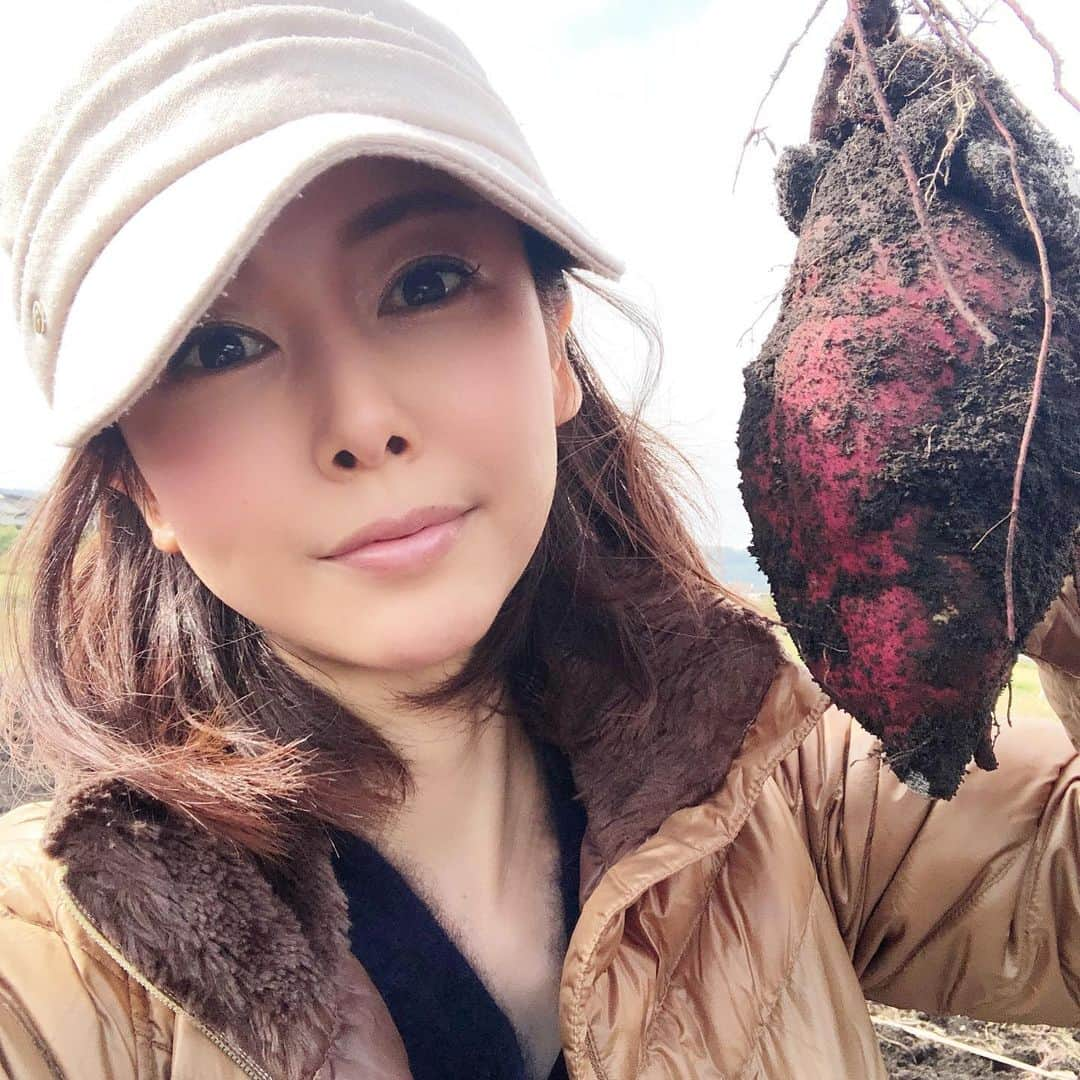 宮崎宣子さんのインスタグラム写真 - (宮崎宣子Instagram)「芋掘り🍠🍠🍠 小学生以来😊 えびの市まできたよー  #えびの市 #芋掘り #安納芋もあった #この後焼き芋🍠 #無農薬畑 #こちらのお米が最高なの✨」11月23日 16時27分 - miyazaki_nobuko