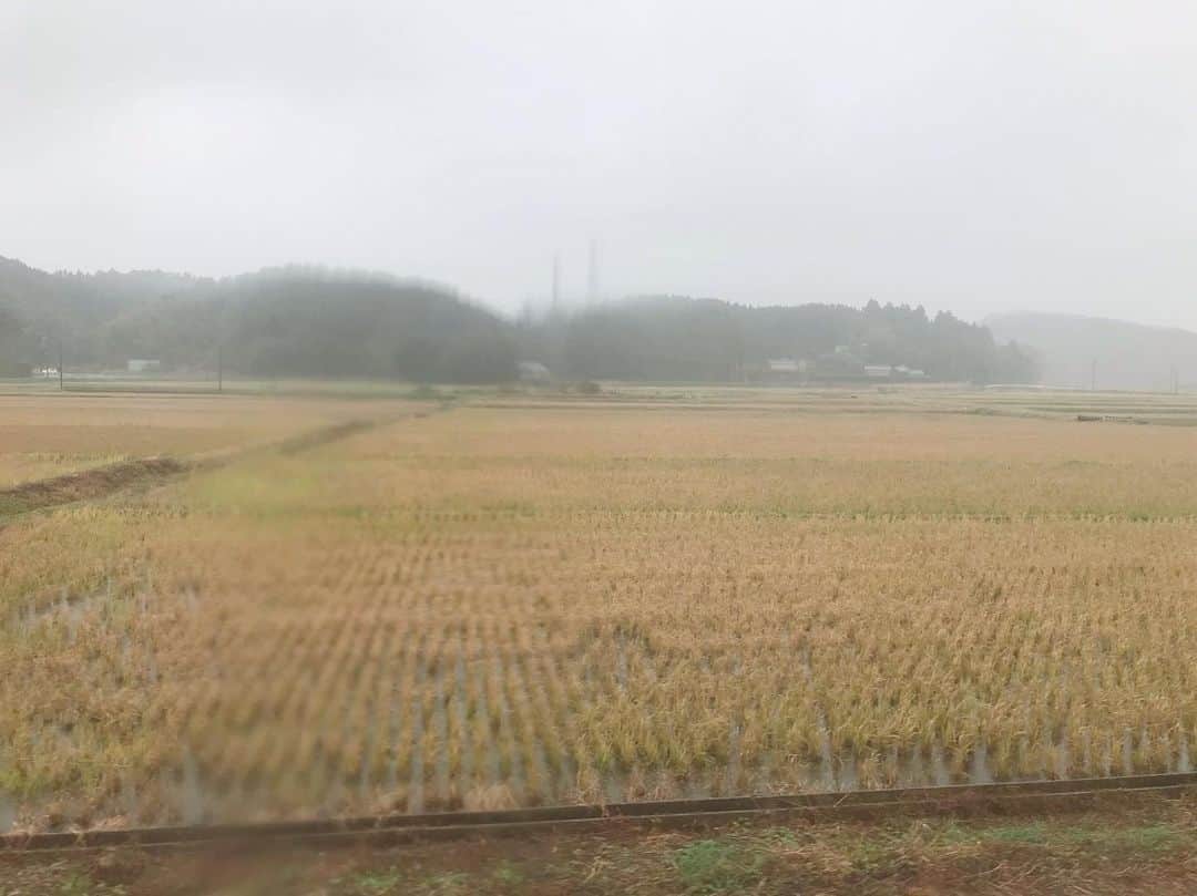 すずきあすかさんのインスタグラム写真 - (すずきあすかInstagram)「雨だね〜☂️ お昼ちょっとやんだかと思ったけどダメだったー！ . そんな中でもほっこりできる「いすみ鉄道グルメ列車 美味しい料理と鉄道のマリアージュ おとなのピクニック」に再び乗車♪ . 毎週土曜日に日本旅行さんといすみ鉄道さんが連携して、季節に応じた観光列車を運行するプロジェクト✈️🚃 千葉県ということもあり、「千(地)産千(地)消」をテーマにいすみ地区のおいしいグルメをいただきながら、鉄道に揺られてのんびり過ごせる贅沢な旅🎶 . デンタルサポート大多喜駅～大原駅間でランチタイム、デンタルサポート大多喜駅～上総中野駅でティータイムが堪能できるよ🍽 電車の中から見る雨の車窓も心が落ち着いていいよね☕️ ハーブティーもかわいかった🌸 . . #いすみ鉄道 #大多喜 #おとなのピクニック #ローカル鉄道 #PR #ピクニック #鉄道 #いすみ #風景 #景色 #癒し #カメラ女子 #鉄子 #ノスタルジック #レトロ #グルメ #日本の風景 #旅好きな人と繋がりたい #おしゃピク #キハ28 #千葉 #千葉グルメ #がんばろう千葉 #自然 #日帰り旅行 #女子旅 #観光 #タビジョ#あすにゃんグルメ #あすにゃん旅行」11月23日 16時30分 - suzukiasukadesu