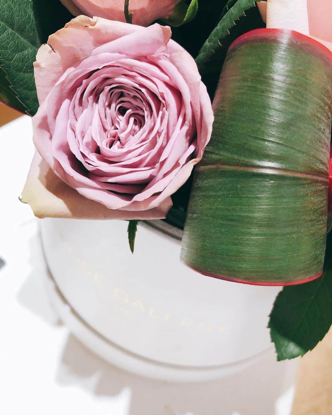 カオルコさんのインスタグラム写真 - (カオルコInstagram)「To her  見た瞬間決まり！なんて可愛いの🥀✨ プレゼントしたくなるお花。いつからだろう。渡すのも貰うのも嬉しくなったのは。  #gift #flowers #kawaii #rose #beautiful #tokyo #art #happy」11月23日 18時42分 - ka_ruk_